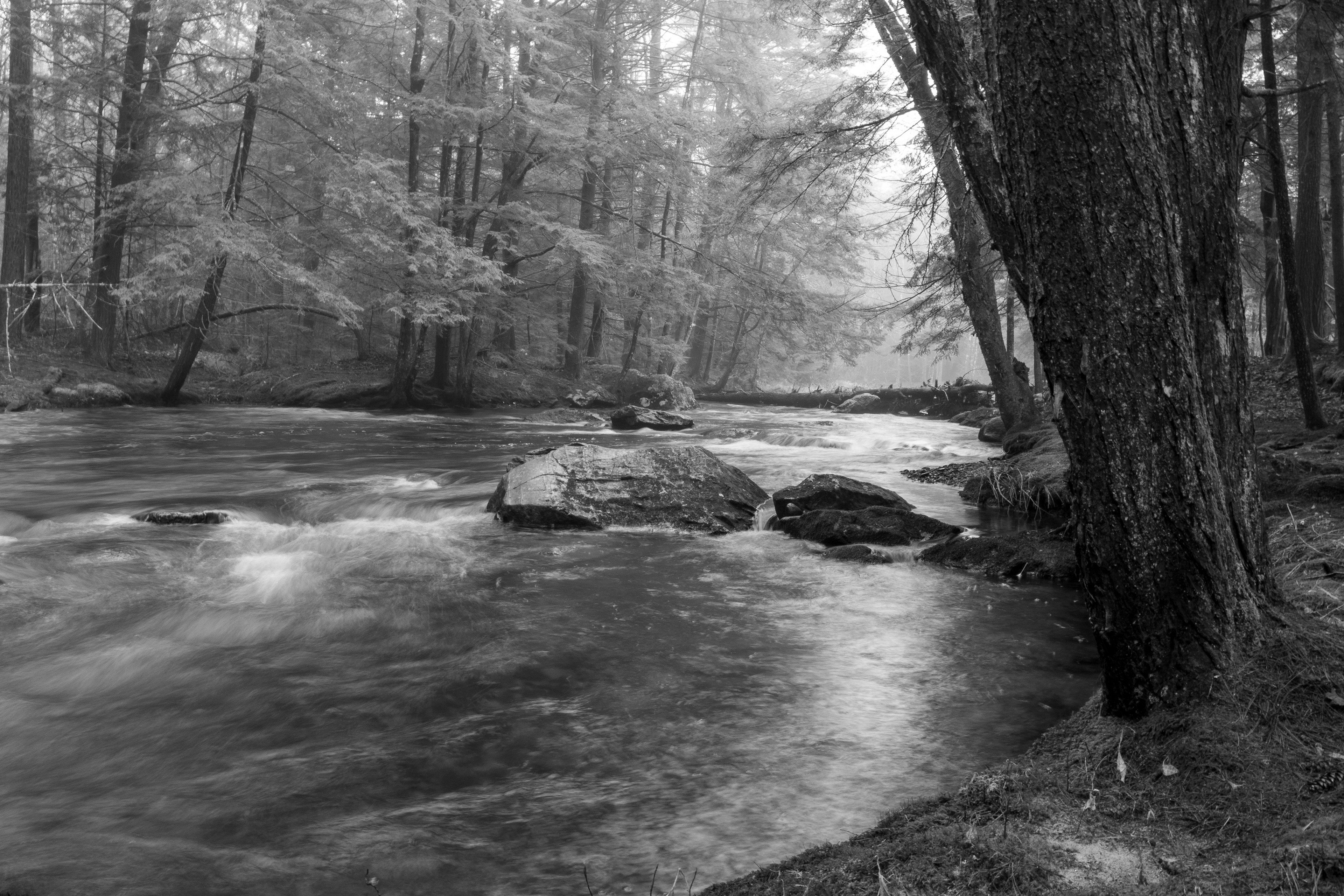 Academy Brook No2