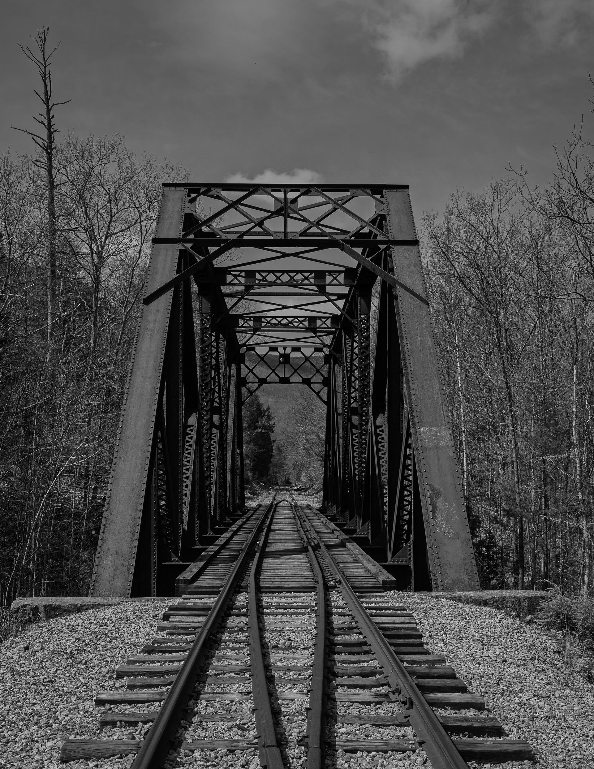 Bridge at Fourth Iron No1