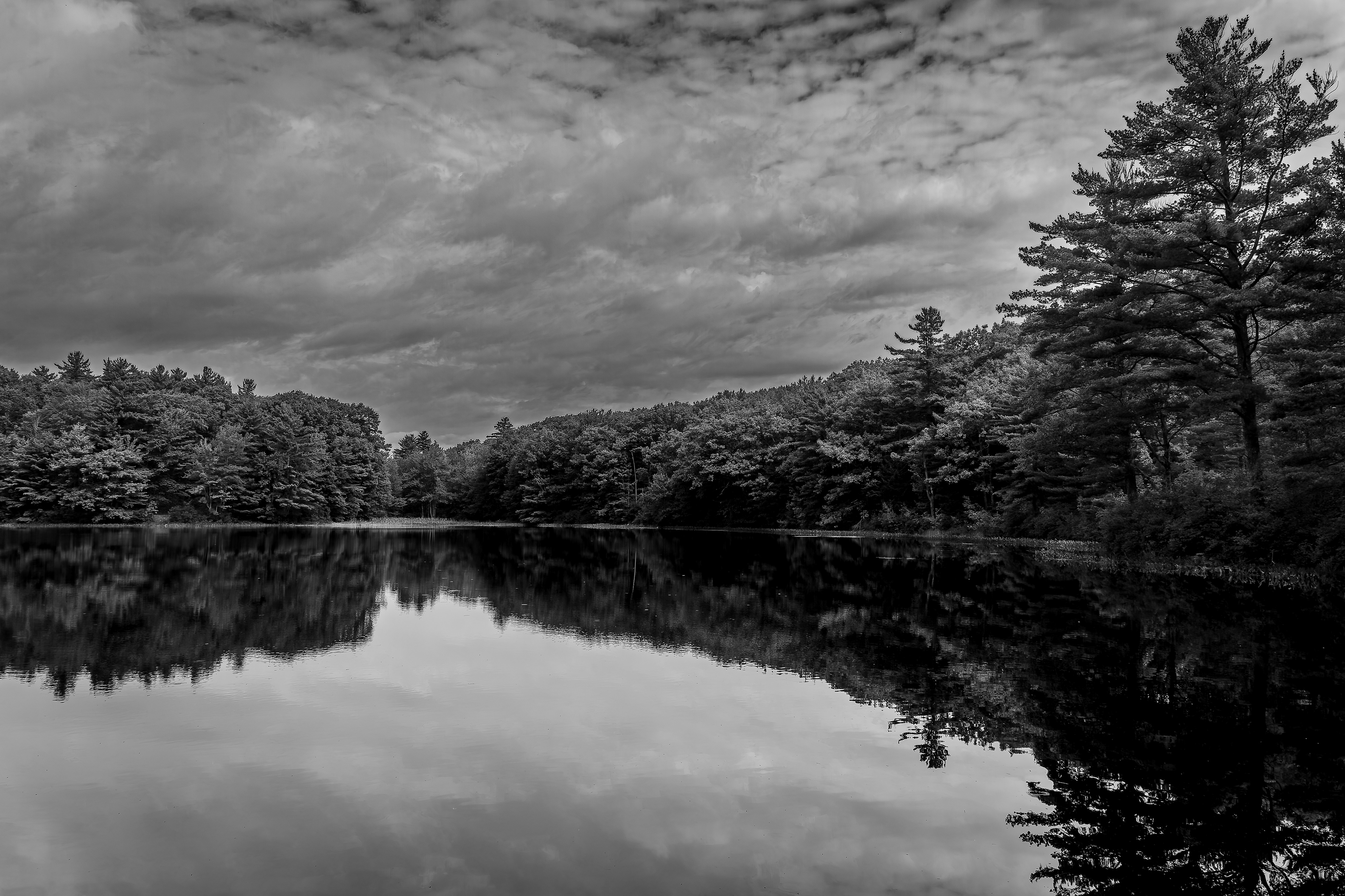Meetinghouse Pond No6