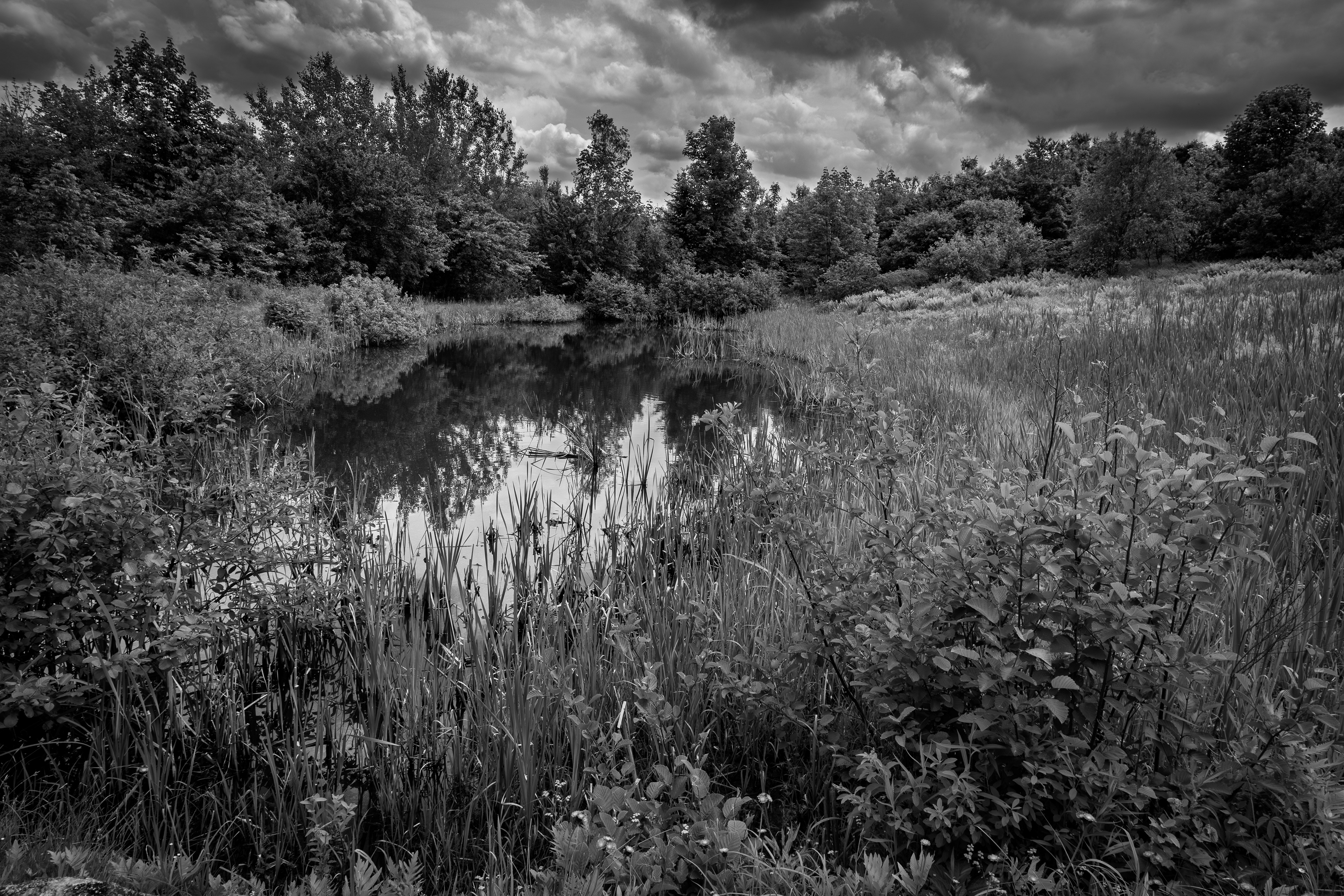 Pond at Sugar Hill No1