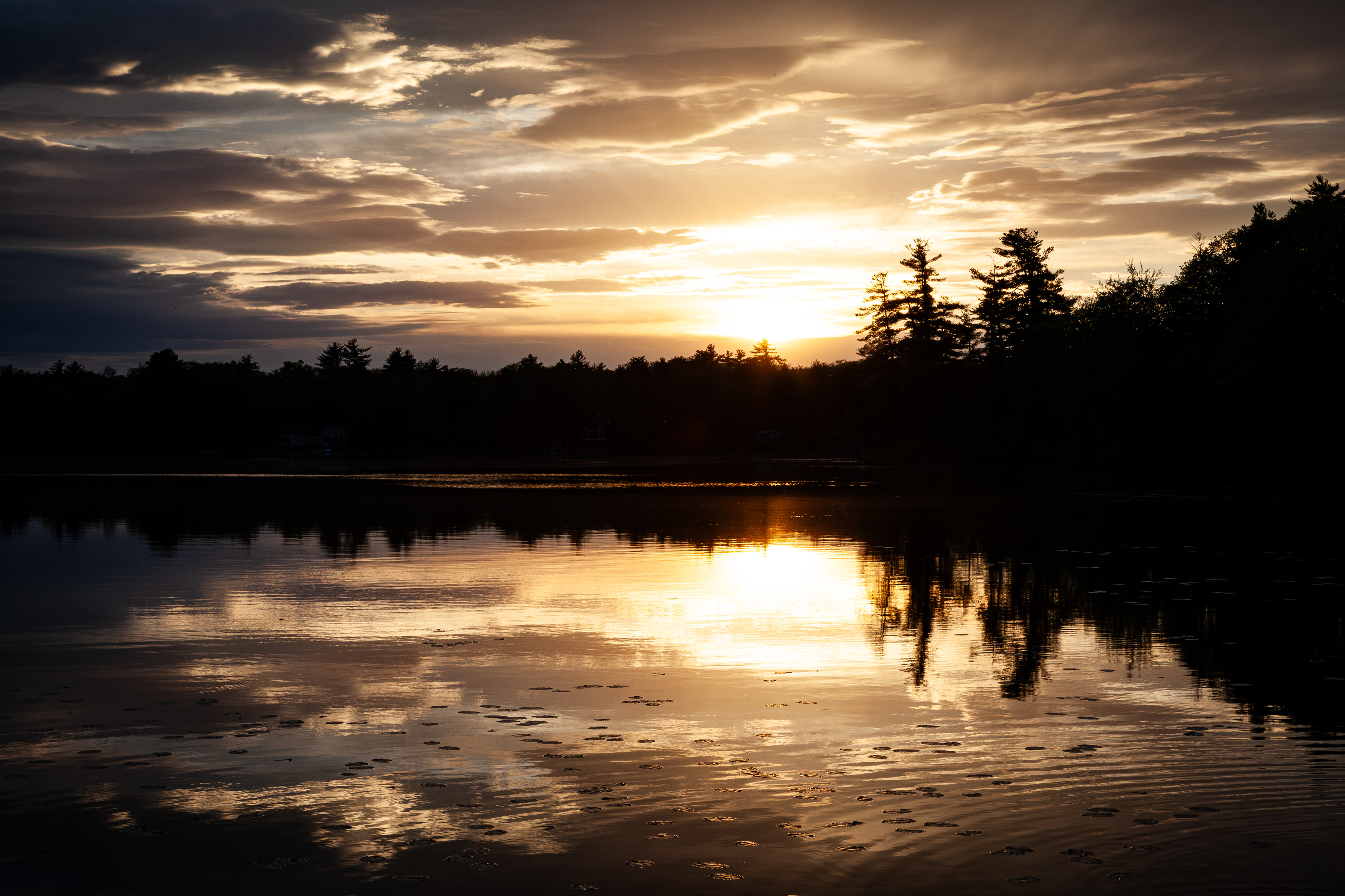 Golden Hour at Shellcamp Pond No1