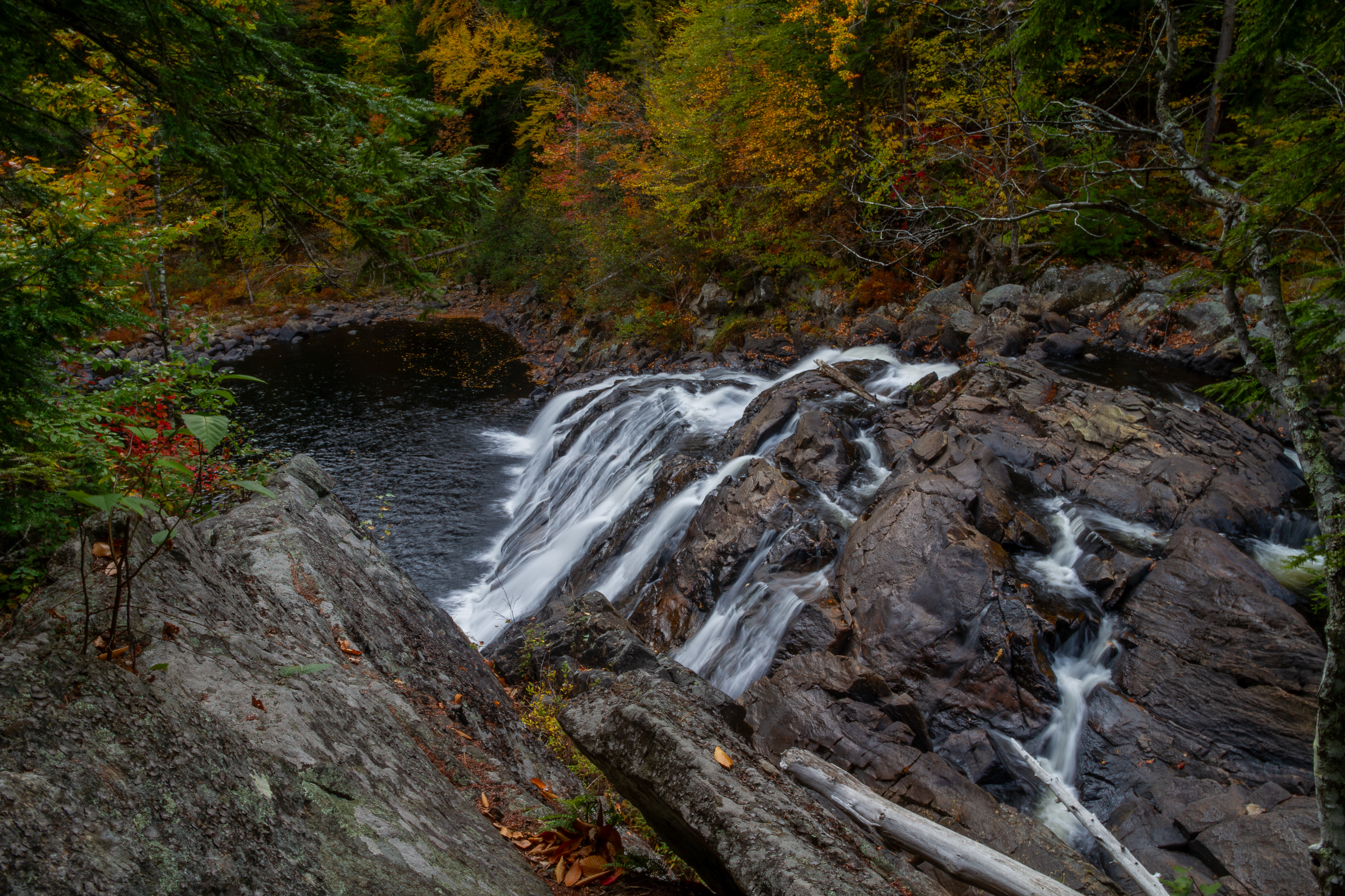 Autumn Color at Profile Falls - October 10, 2024