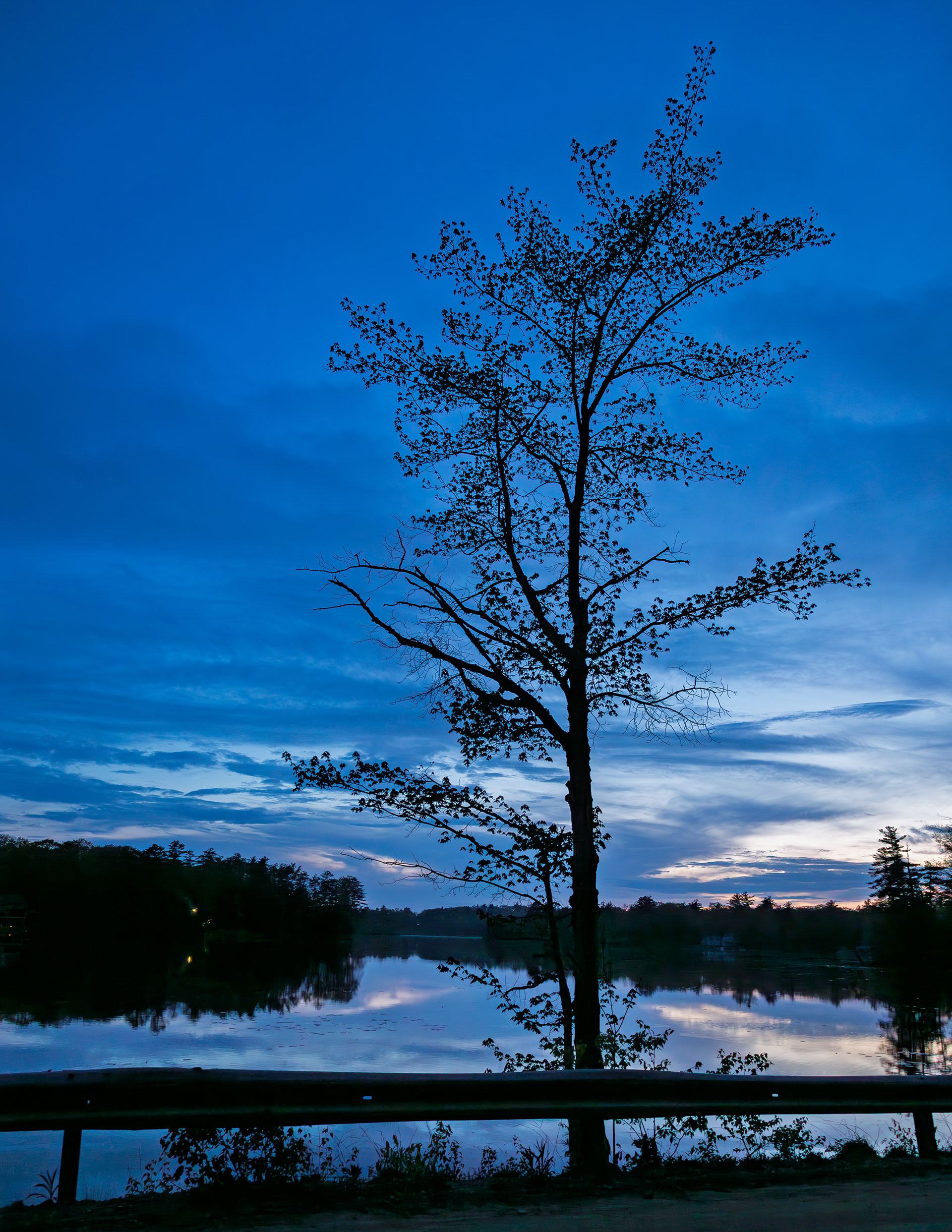 Shellcamp Blue Hour No1