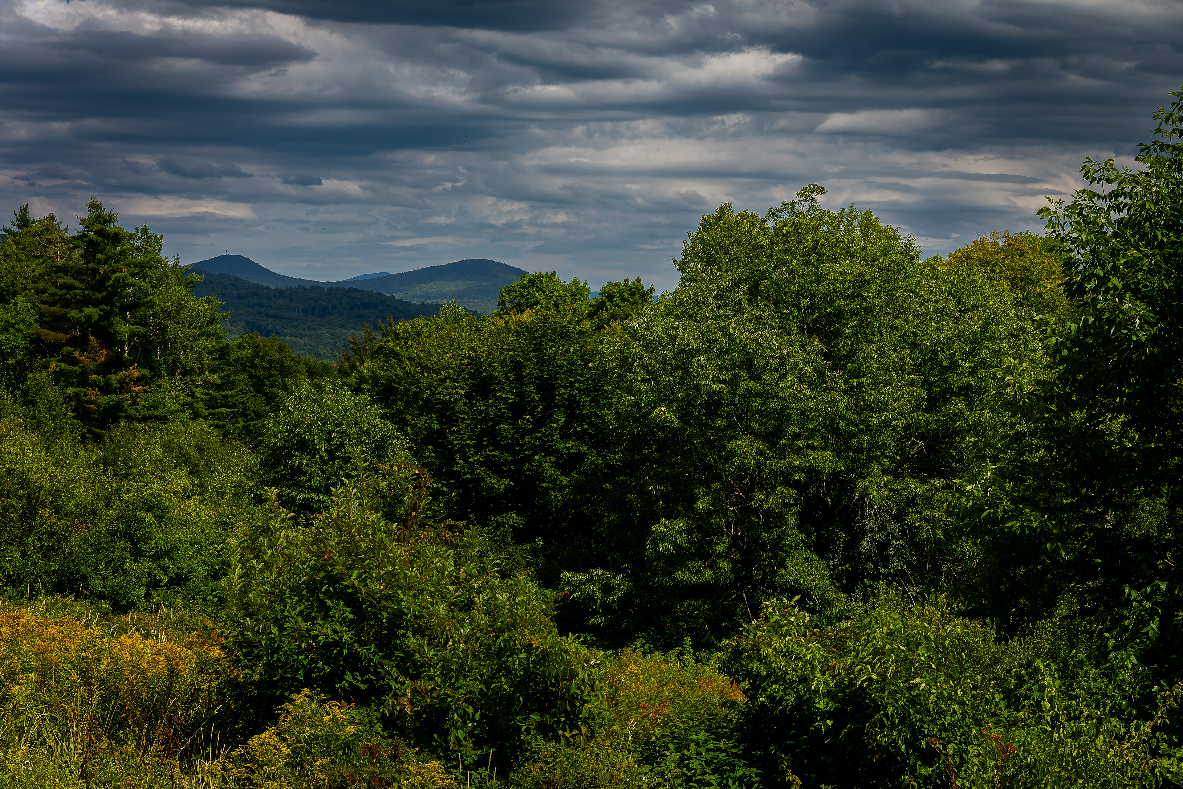 Sugar Hill Mountain Views No3