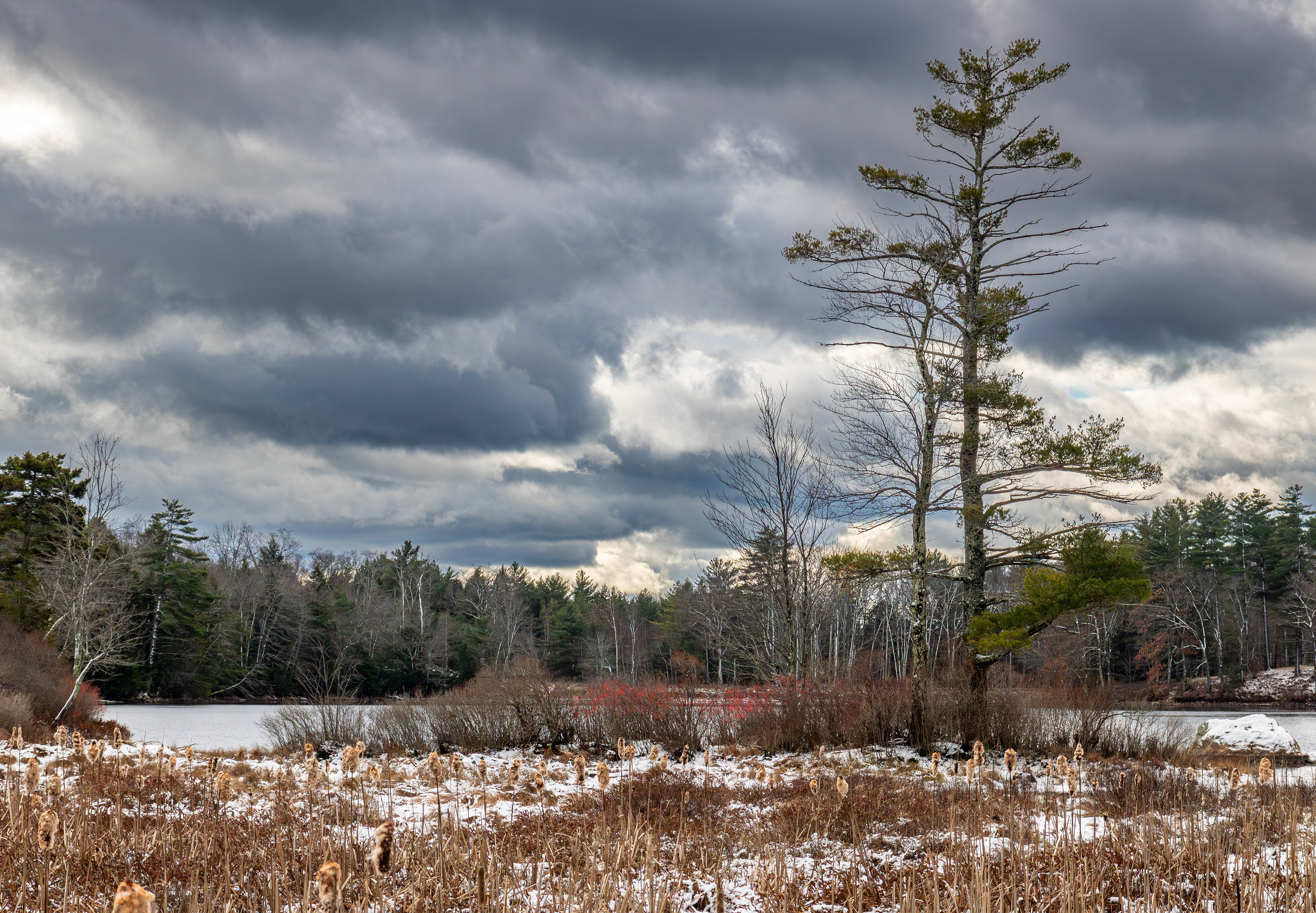 Rollins Pond No8