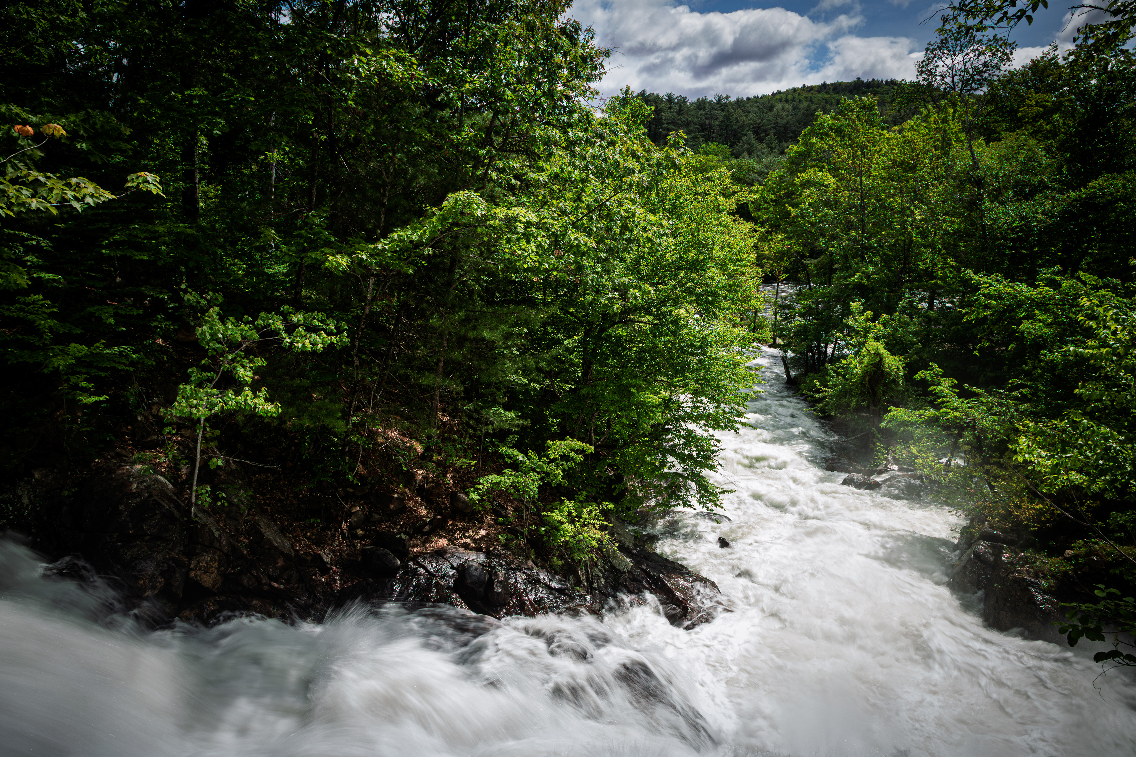 Bristol Falls Park No26