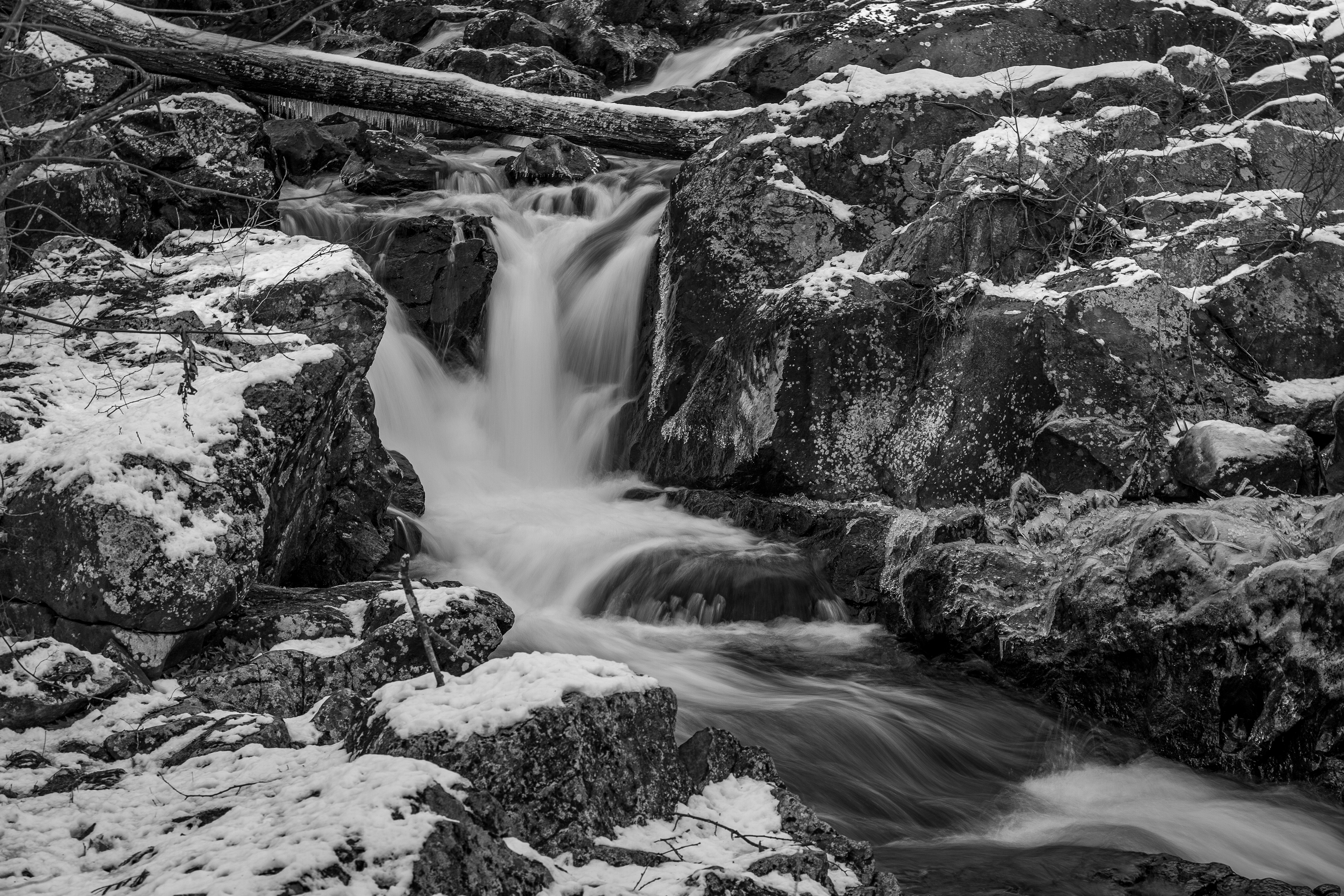 Bristol Falls Park 12-3-2024 No19