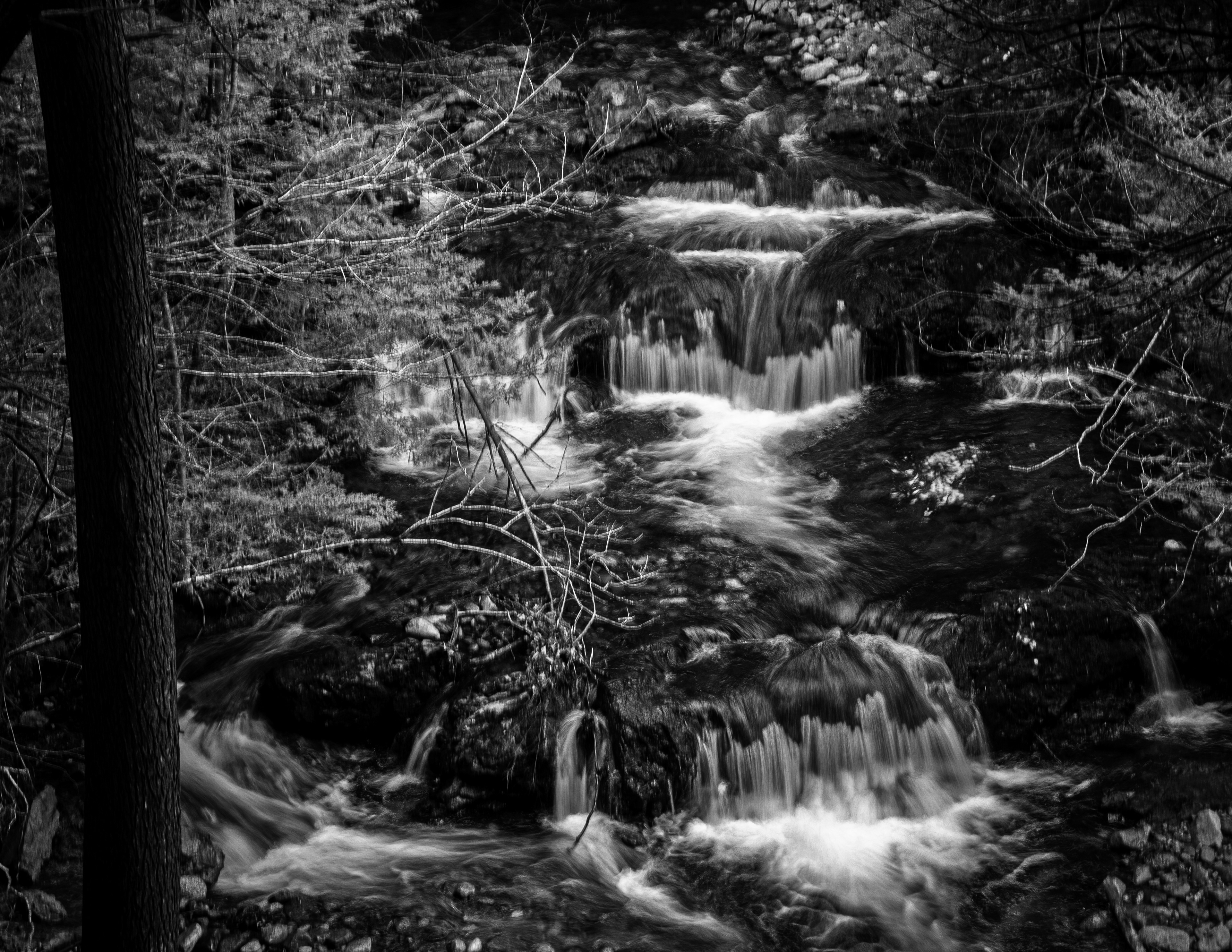 CITC Brook Walk - The Cascades No21