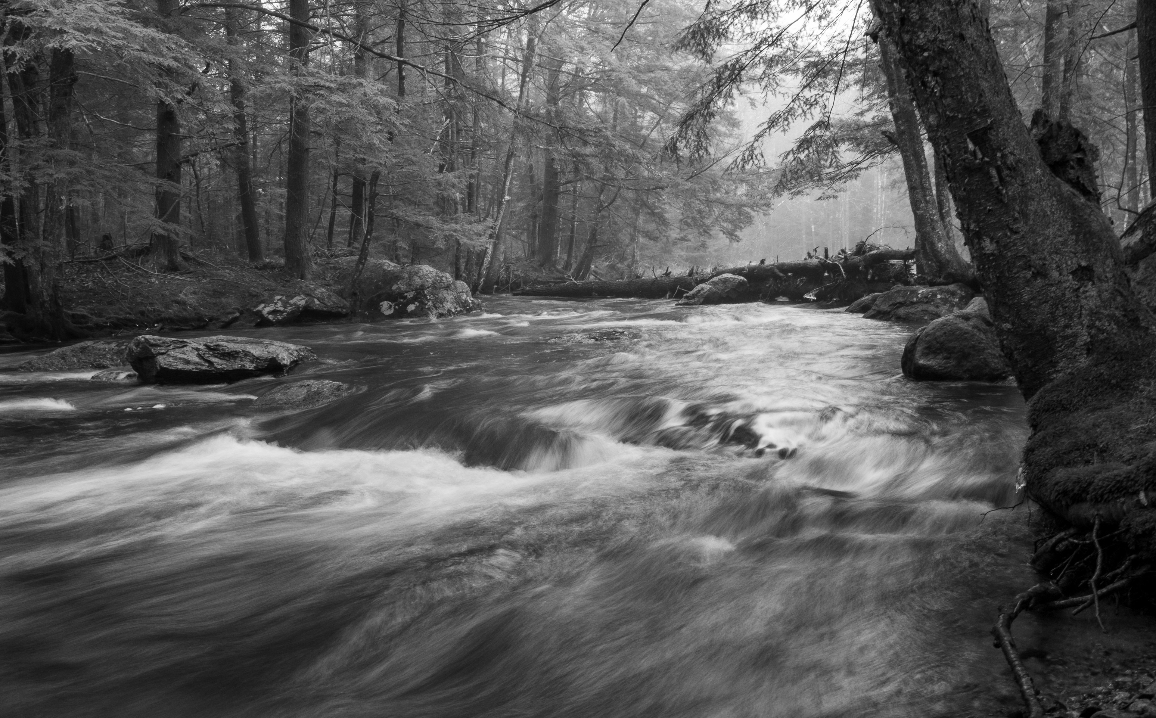 Academy Brook No4