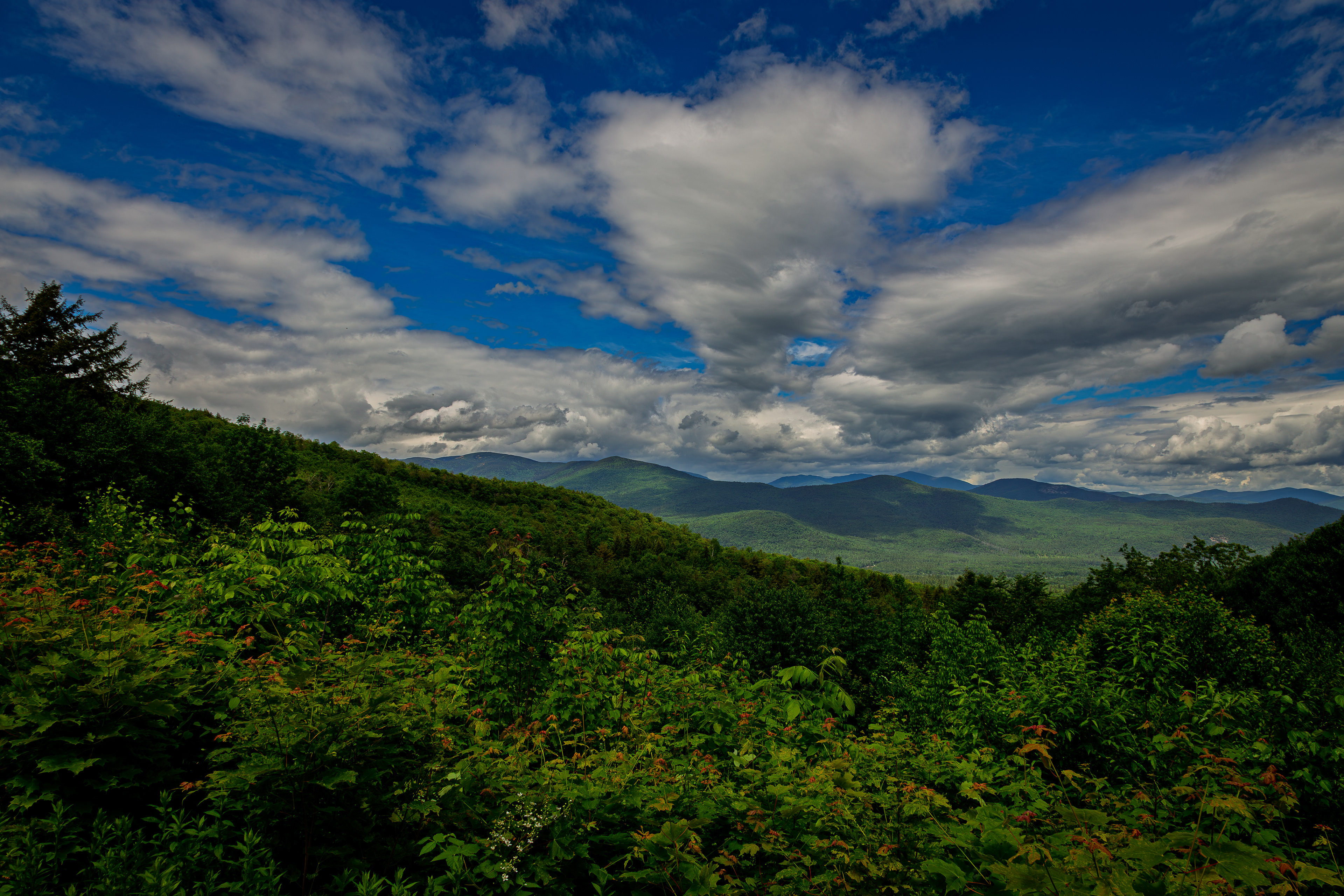 Bear Notch Scenic Vista No14