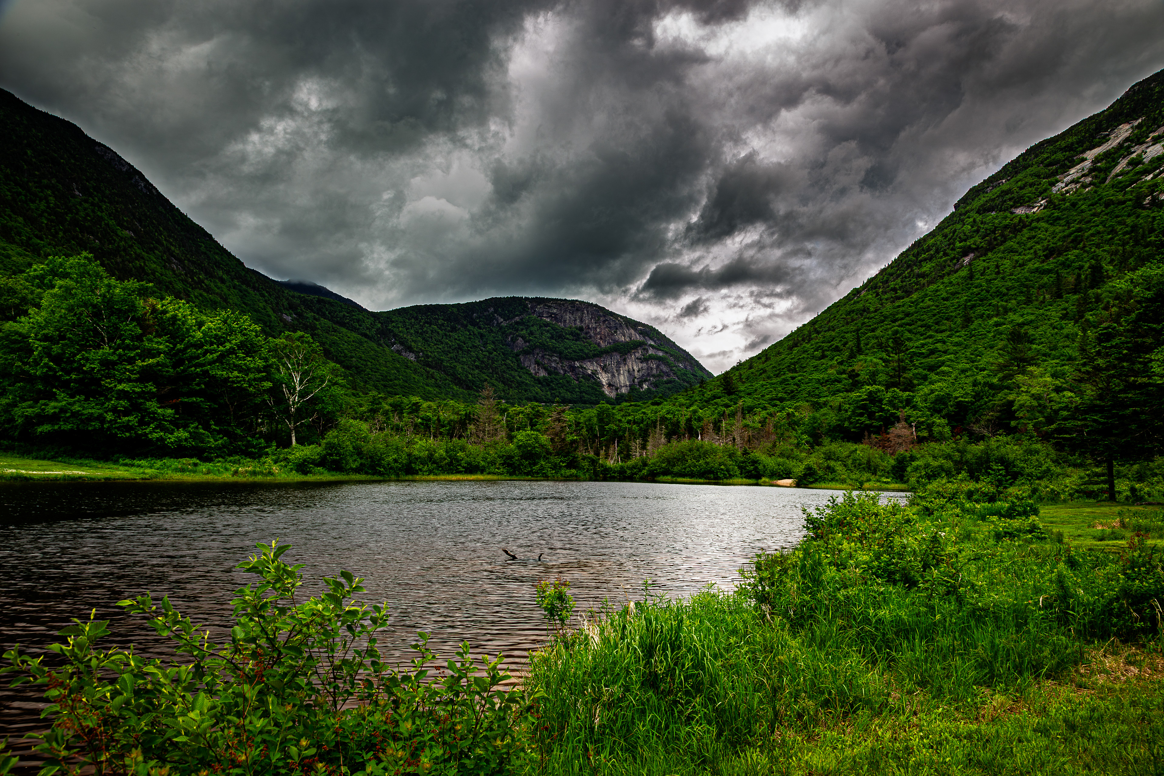 Willey Pond No10
