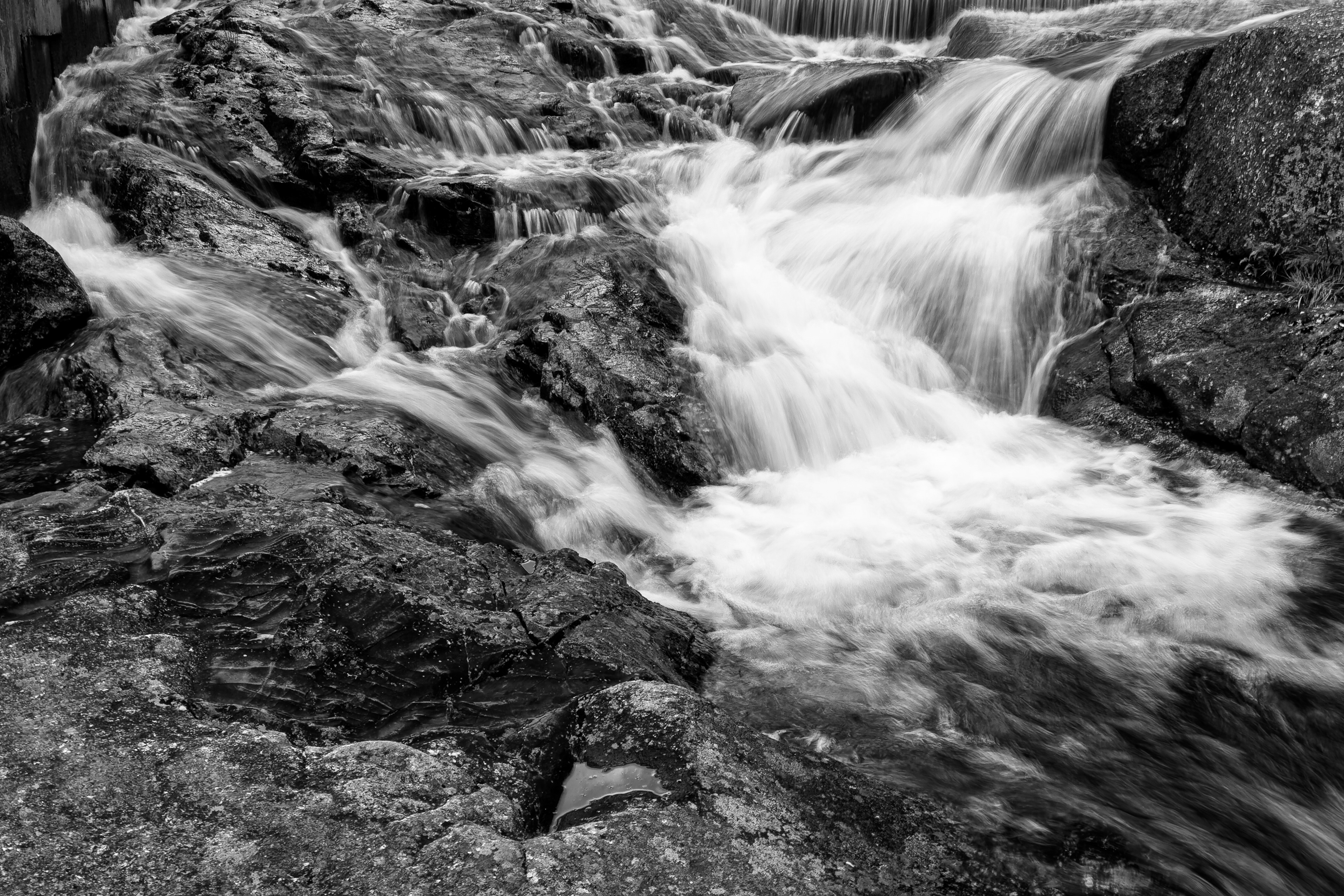 Beaver Pond Dam No7
