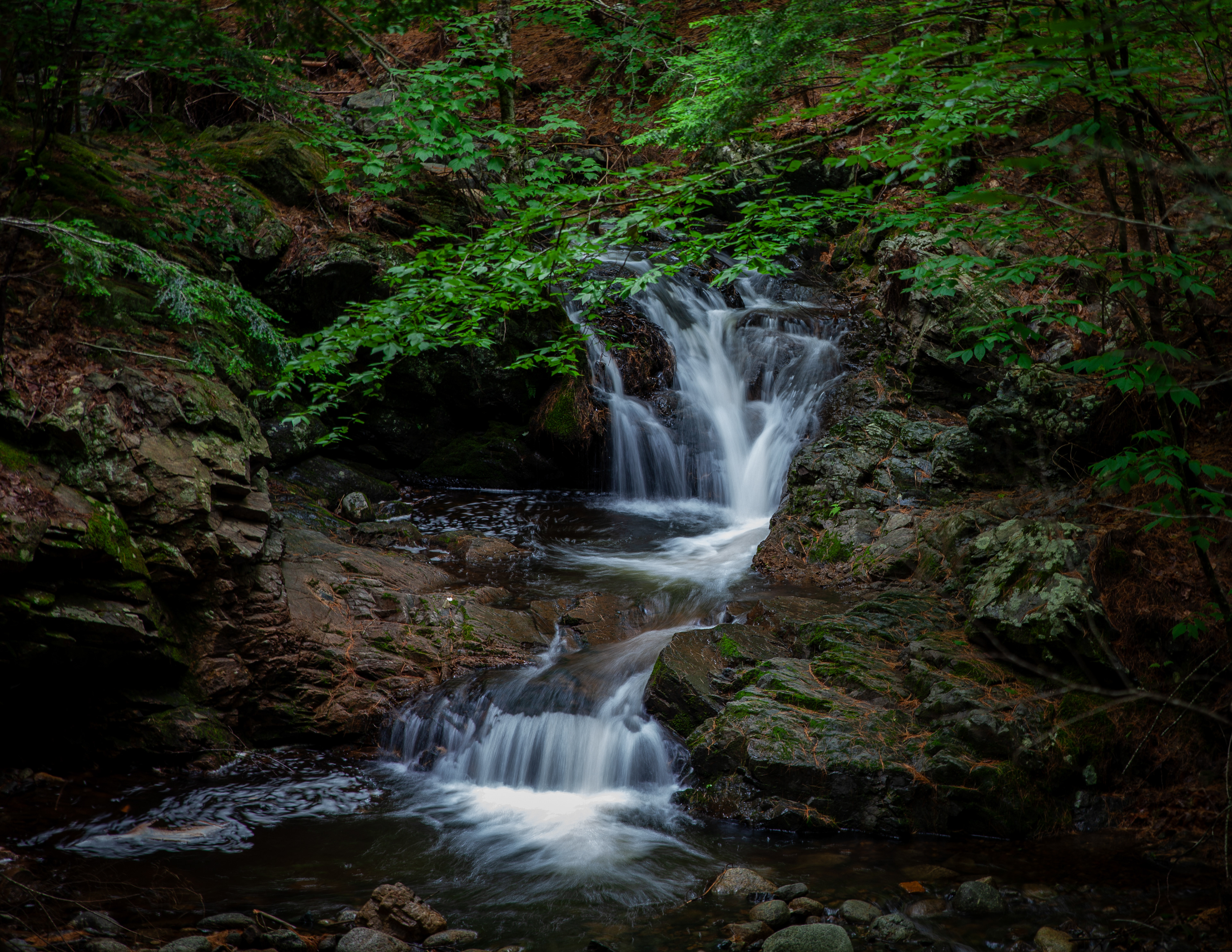 Whittier Falls at CITC - June 24, 2024