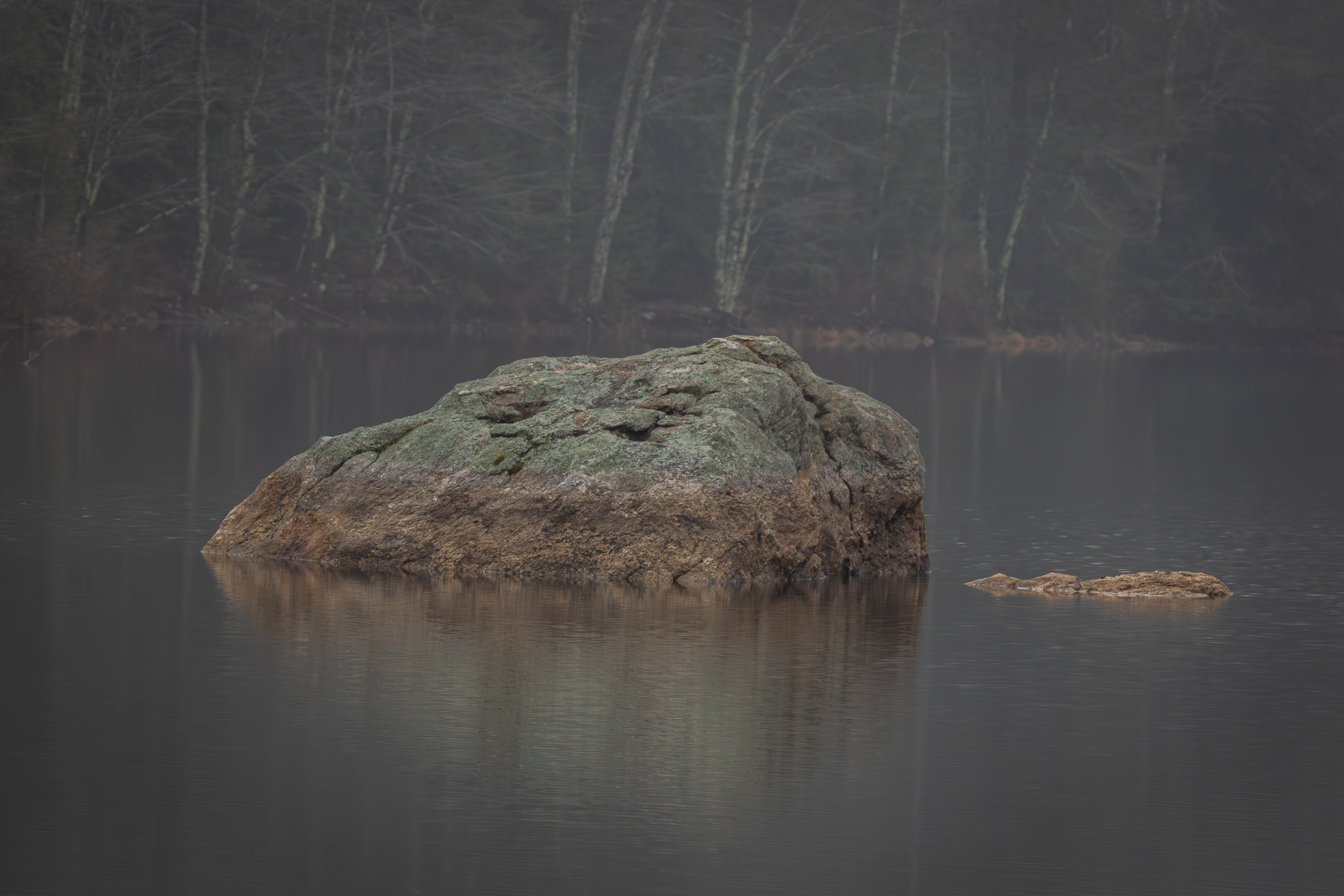 Boulder in Rollins Pond