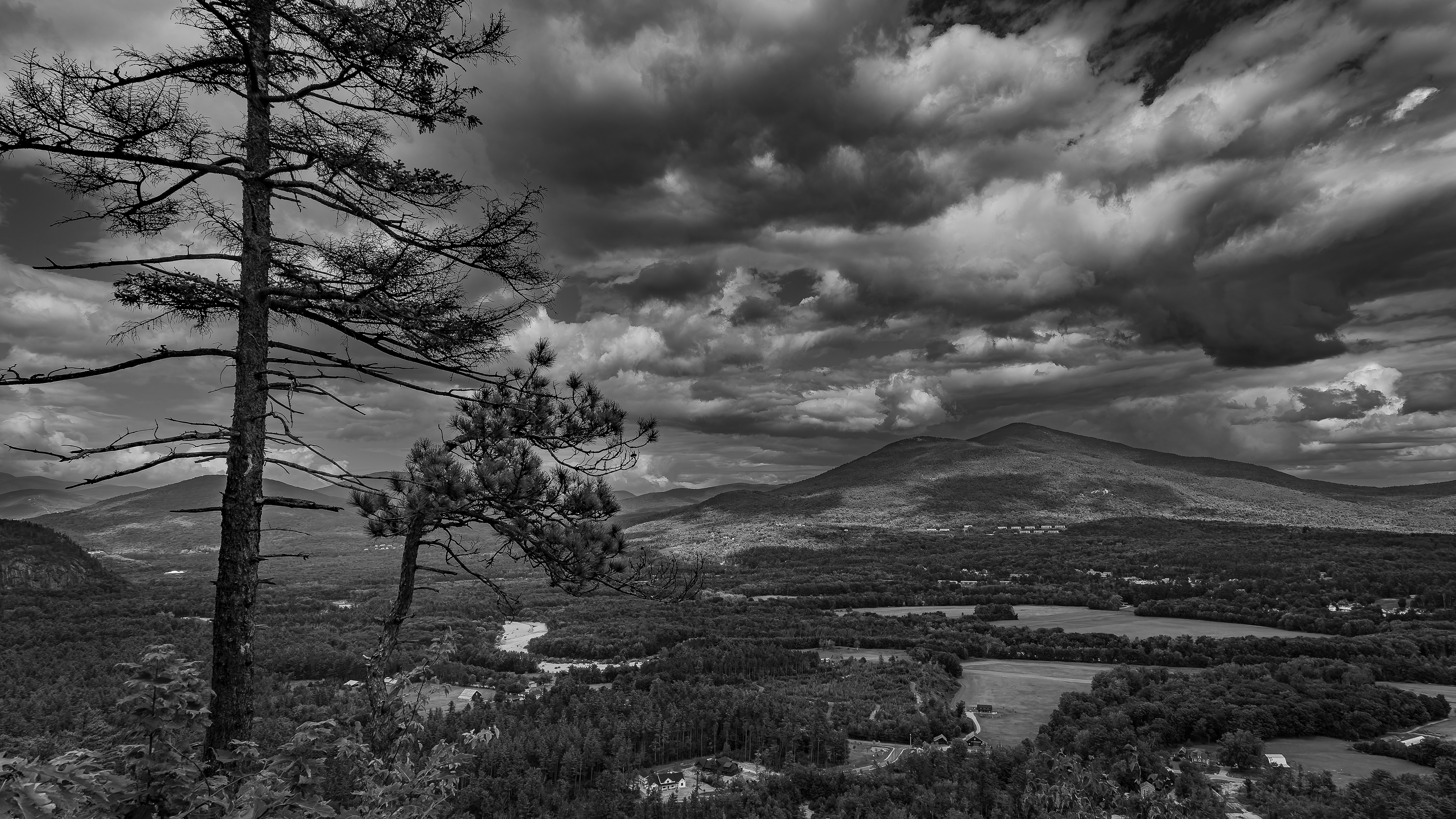 View from Cathedral Ledge No10