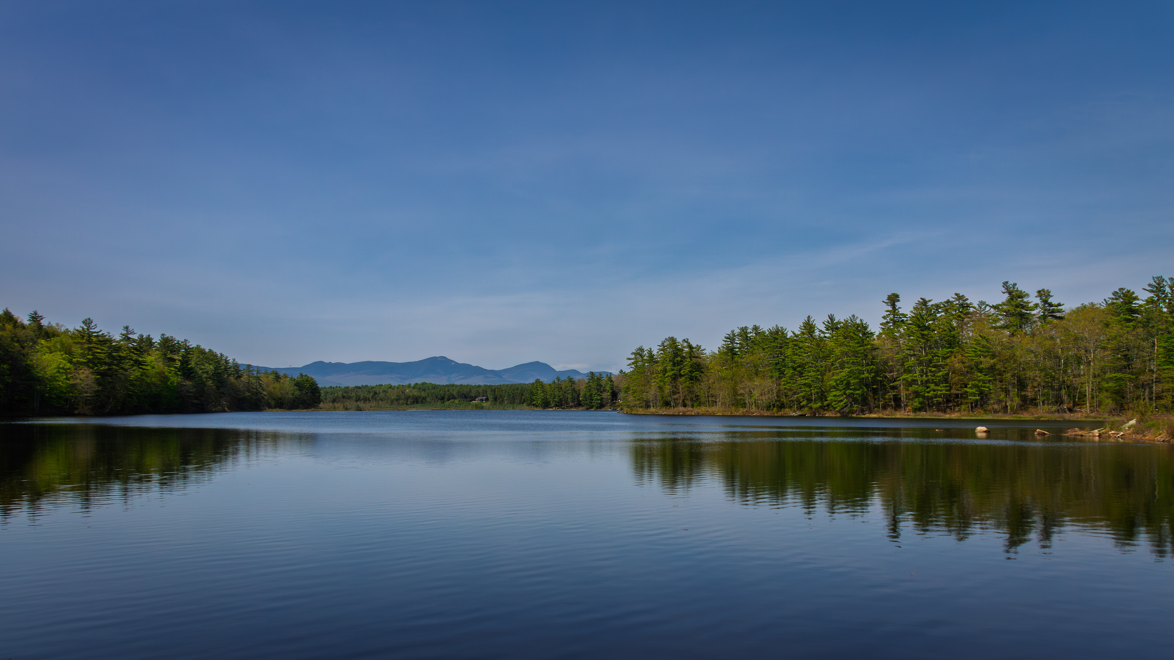 Berry Pond in Color