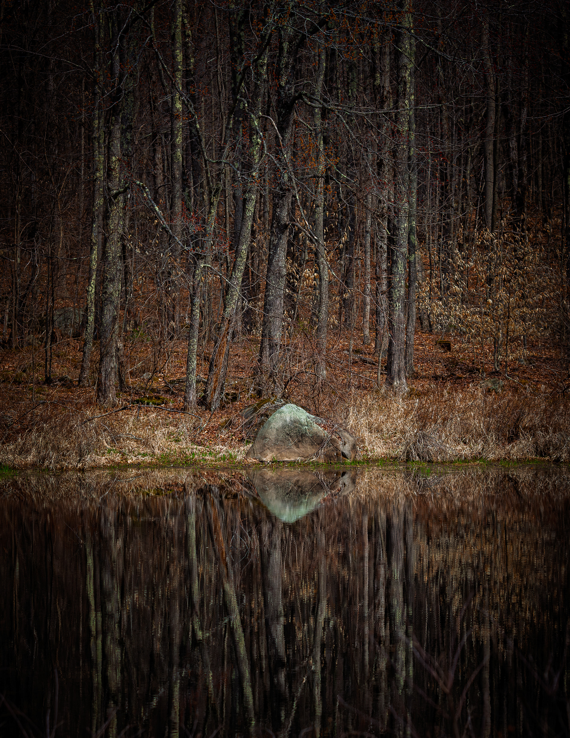 Factory Pond Reflections No4