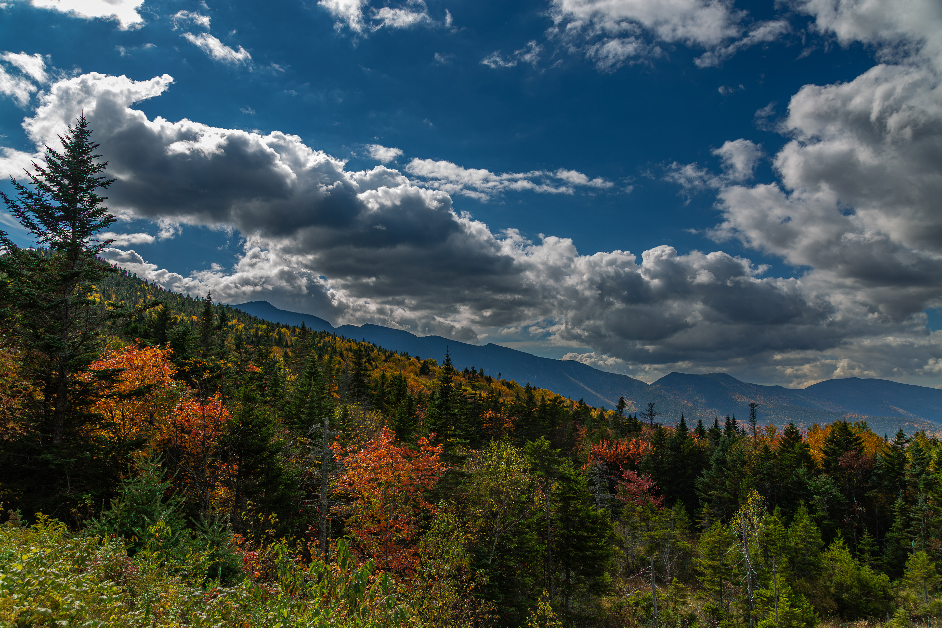 Pemigewasset Scenic Overlook No3