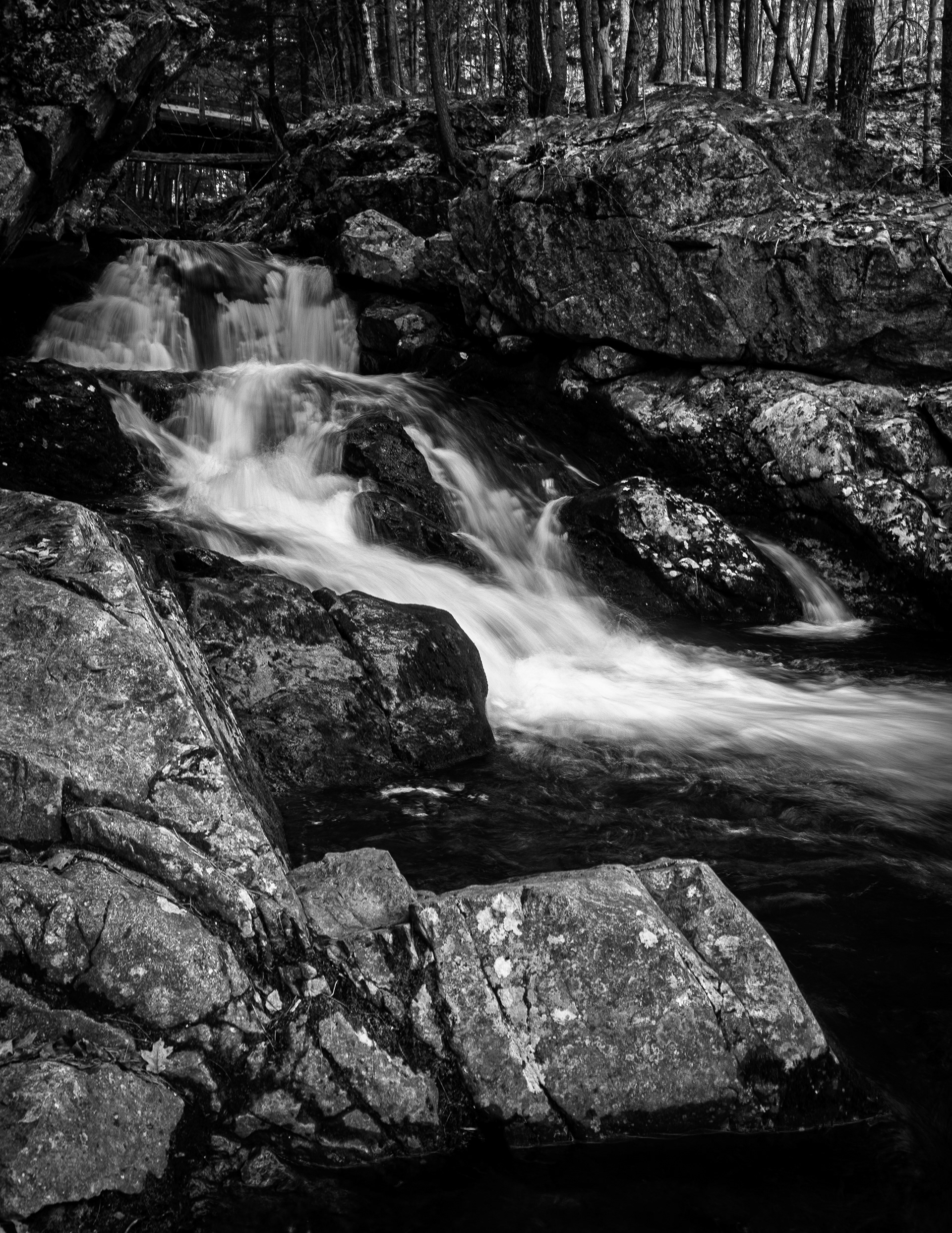 Roaring Falls at CITC - April 6, 2026