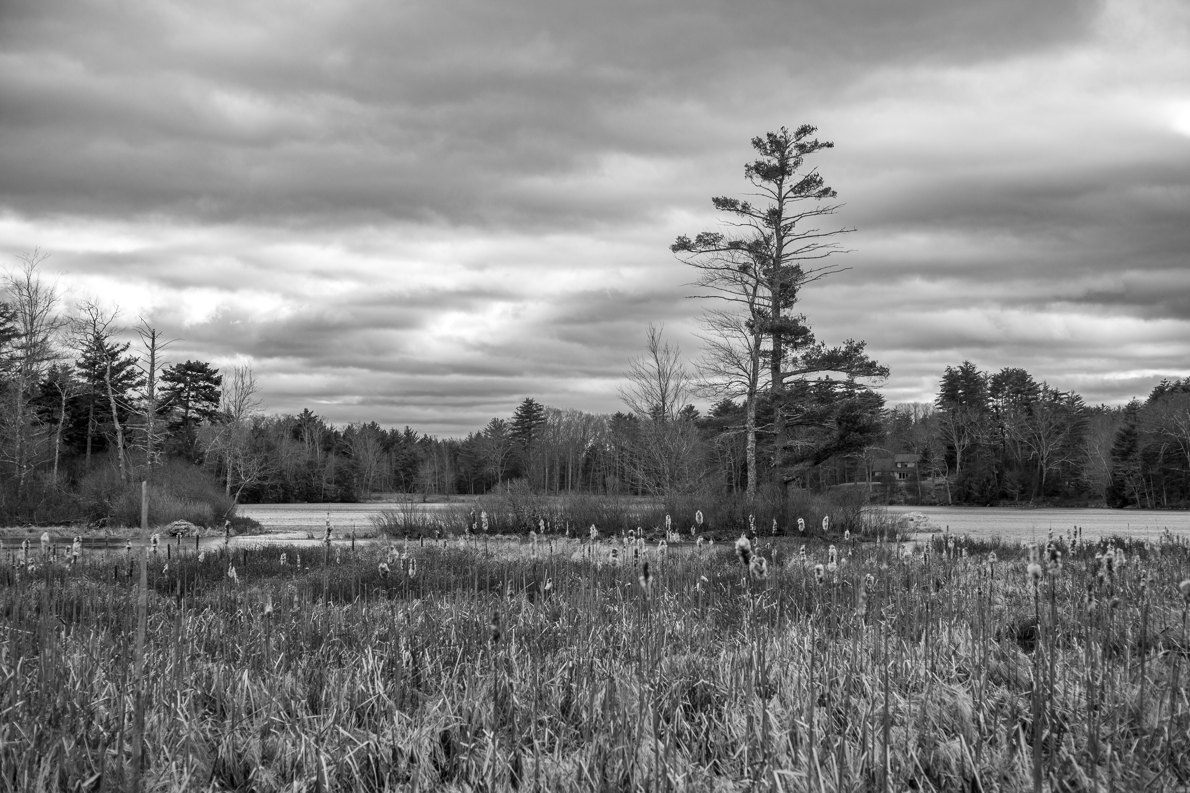 Rollins Pond No7