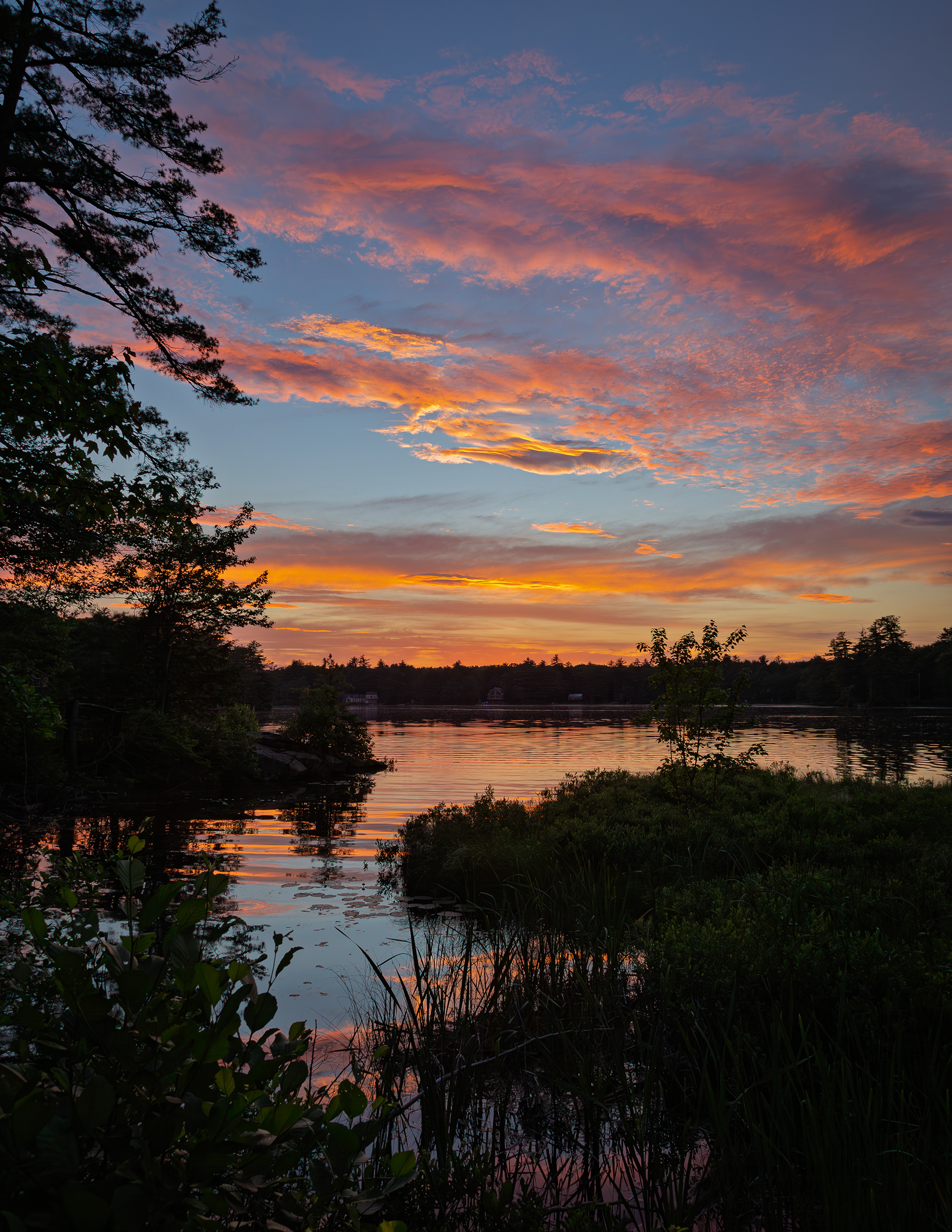 Shellcamp Sunset No20