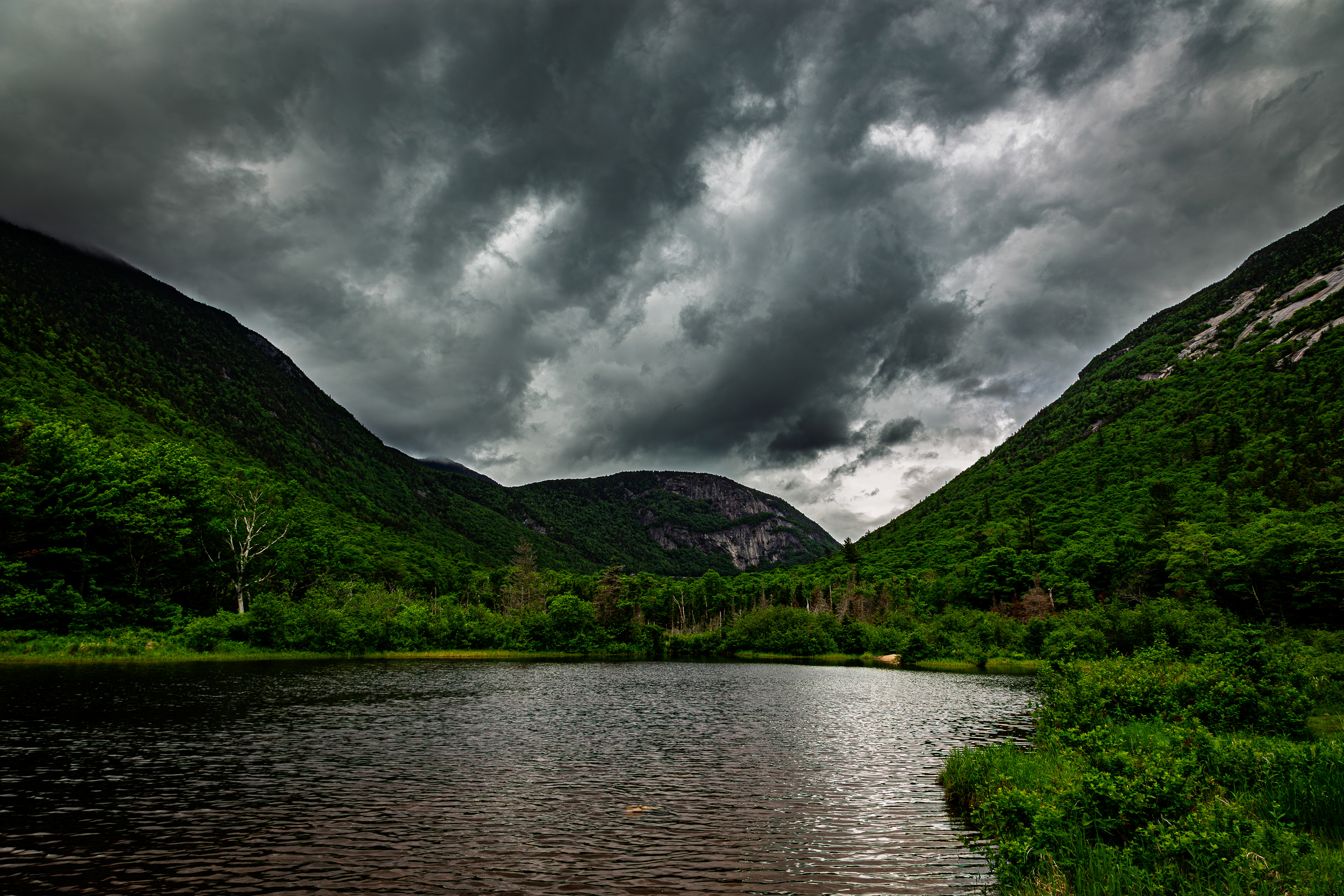 Willey Pond No12