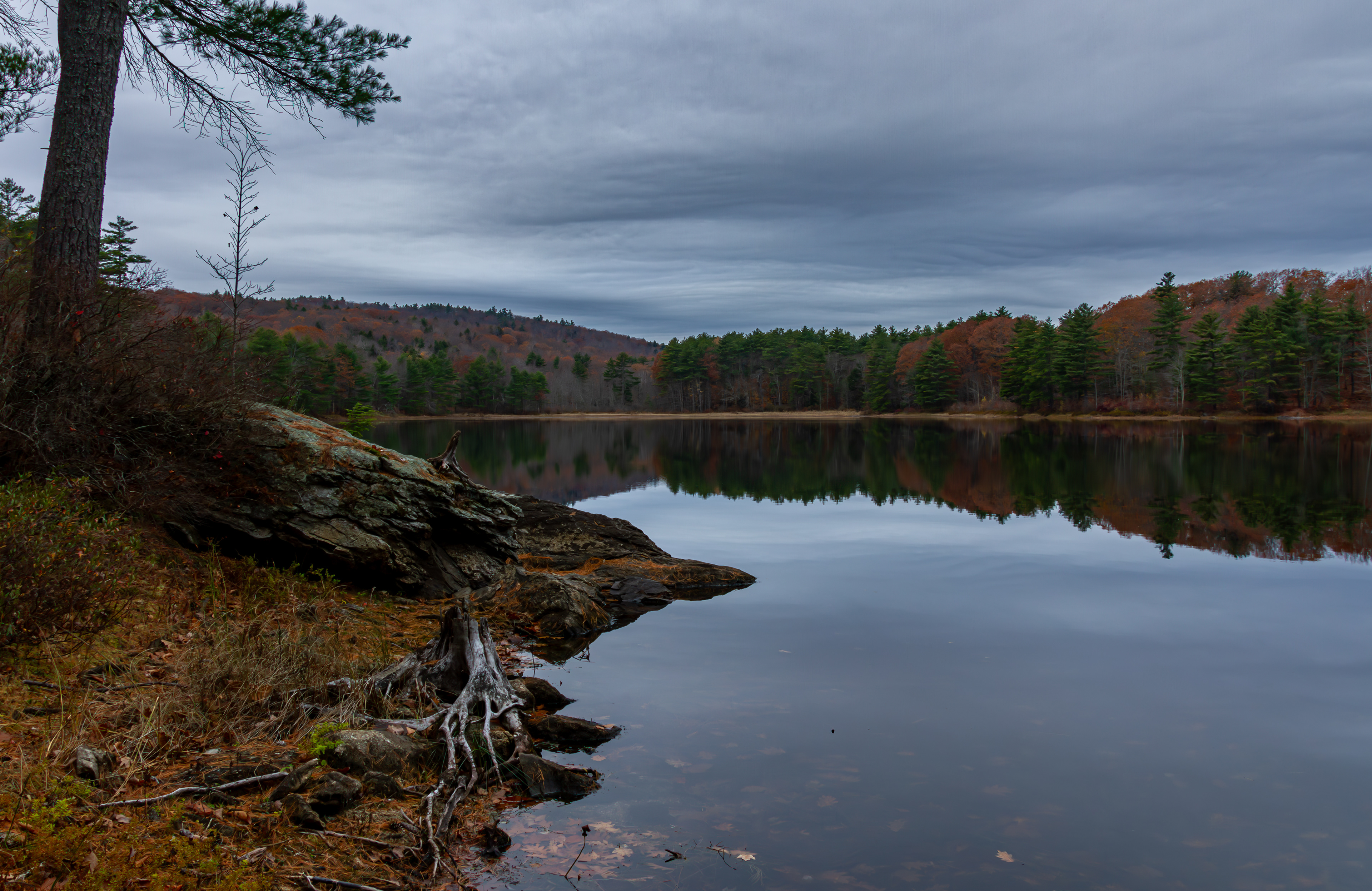 Meetinghouse Pond Reflections - October 29, 2024
