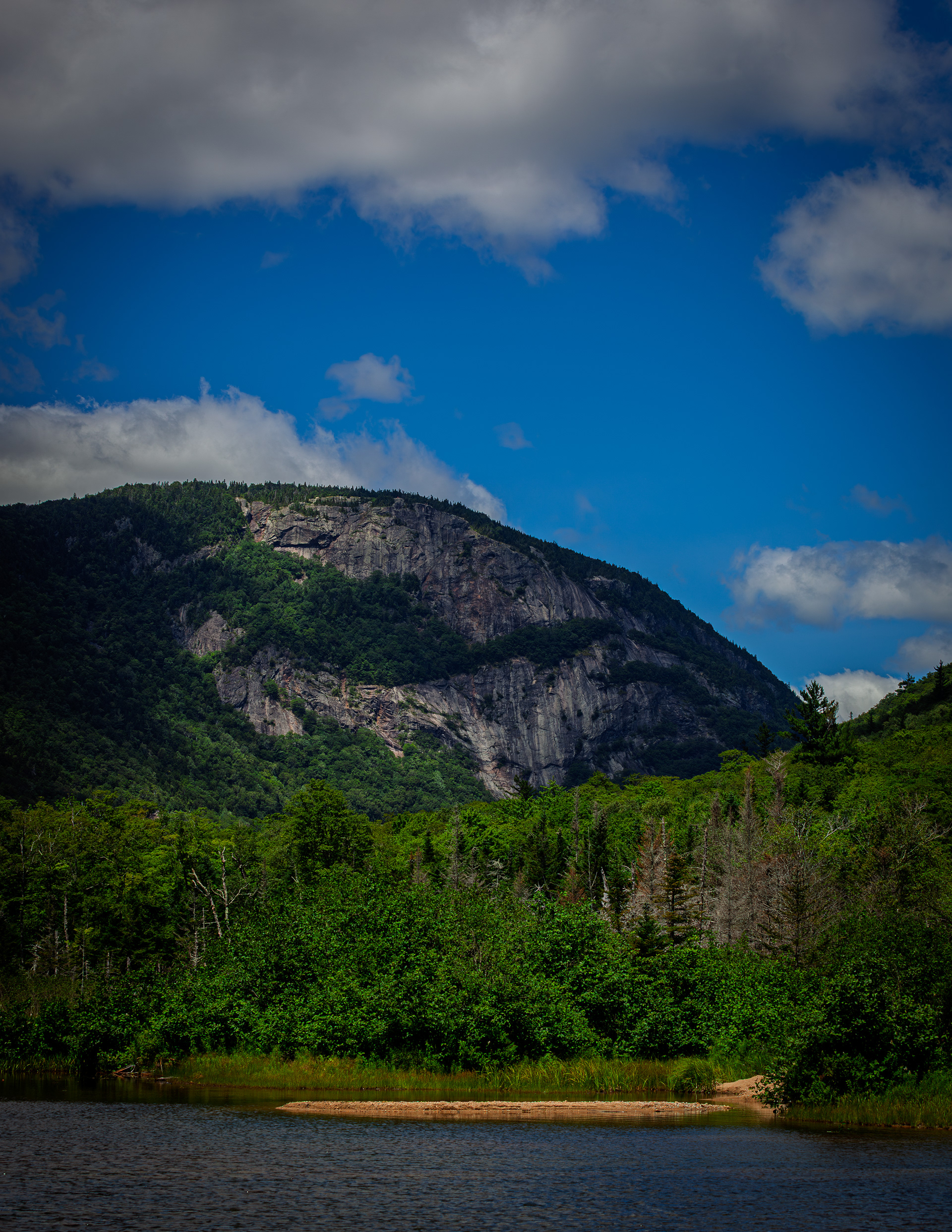 Mount Willard from Willey Pond No10