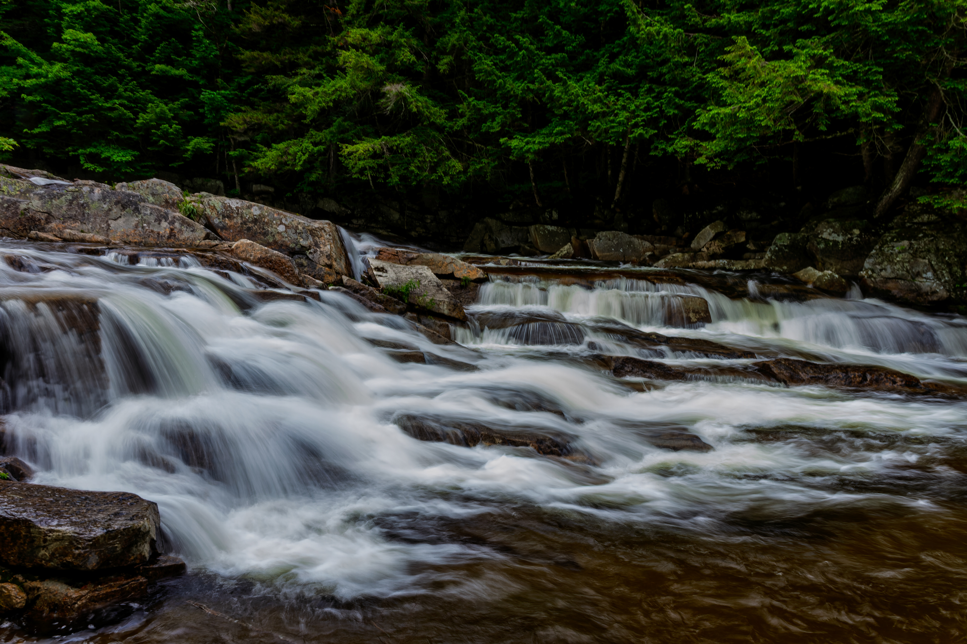 Jackson Falls No24