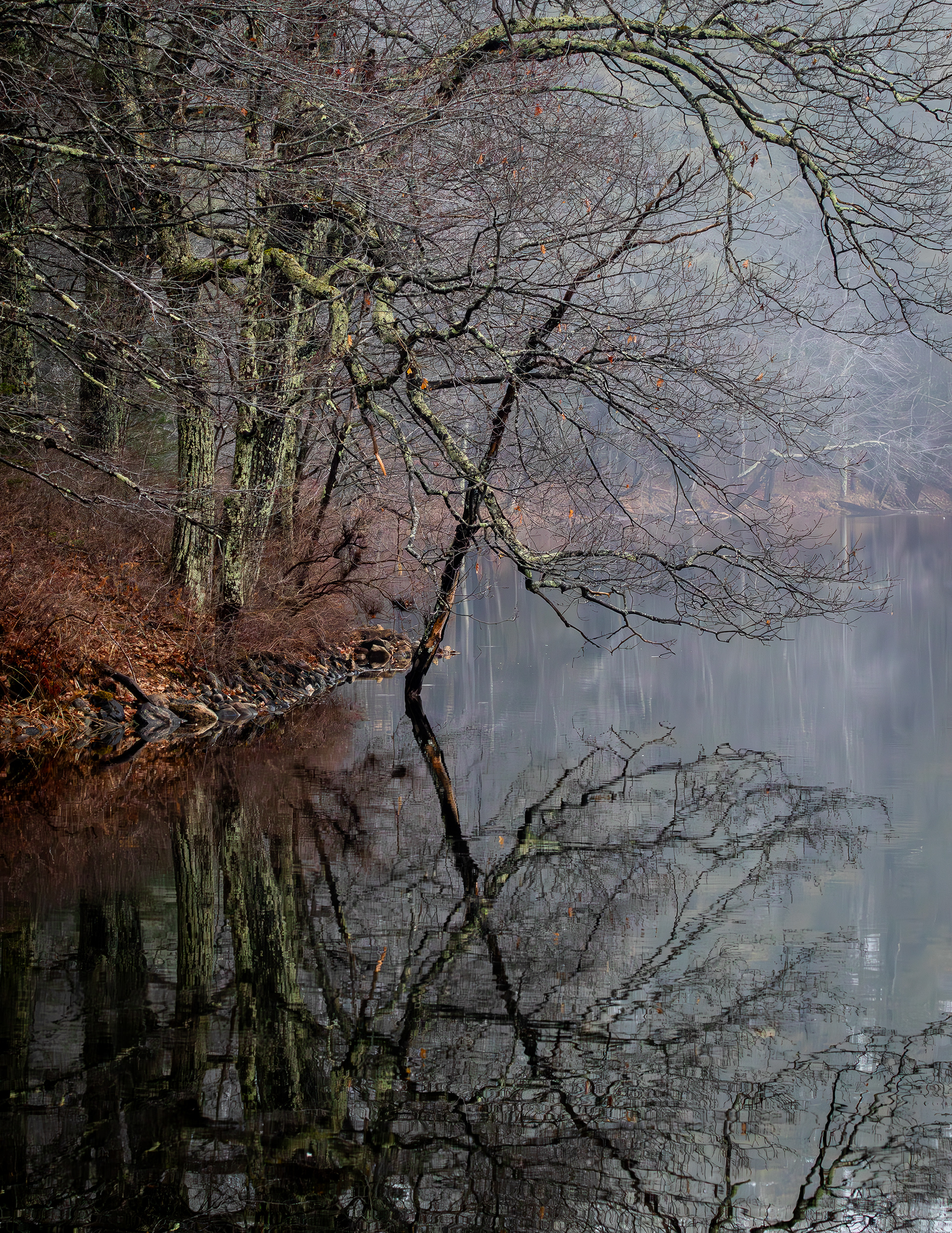 Rollins Pond Reflections in Color