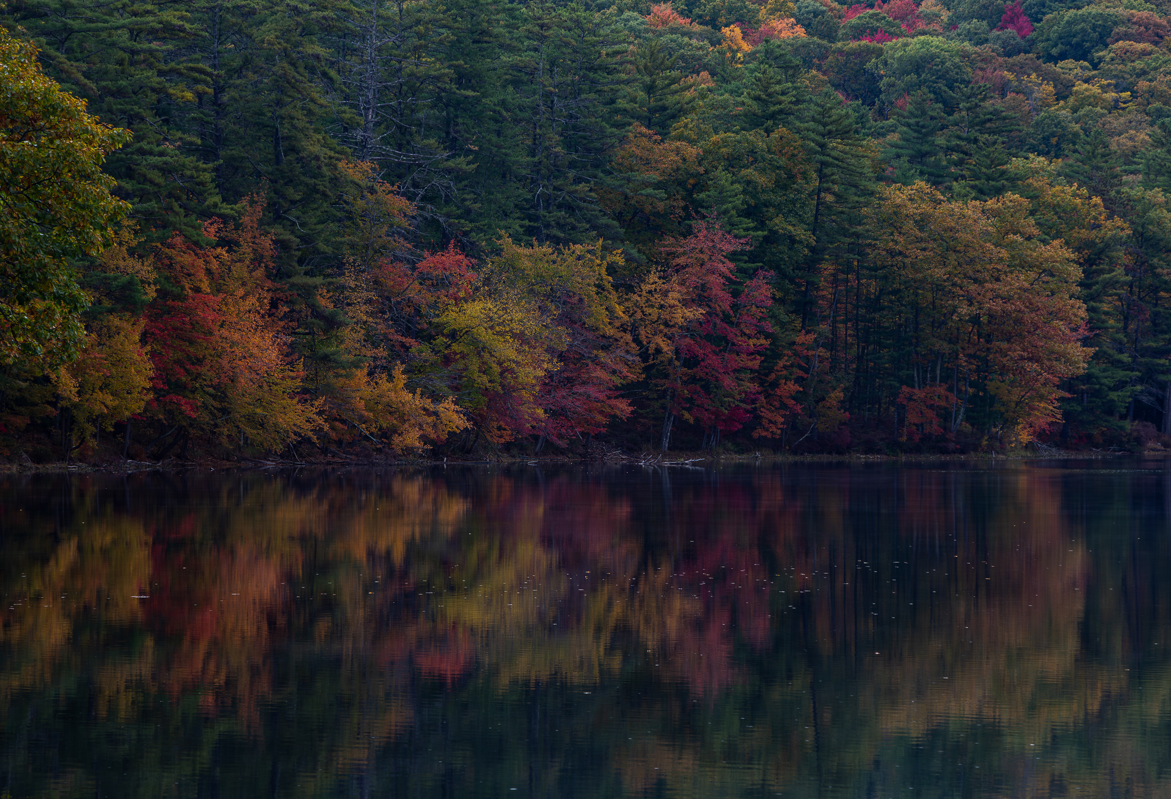 Rollins Pond No2