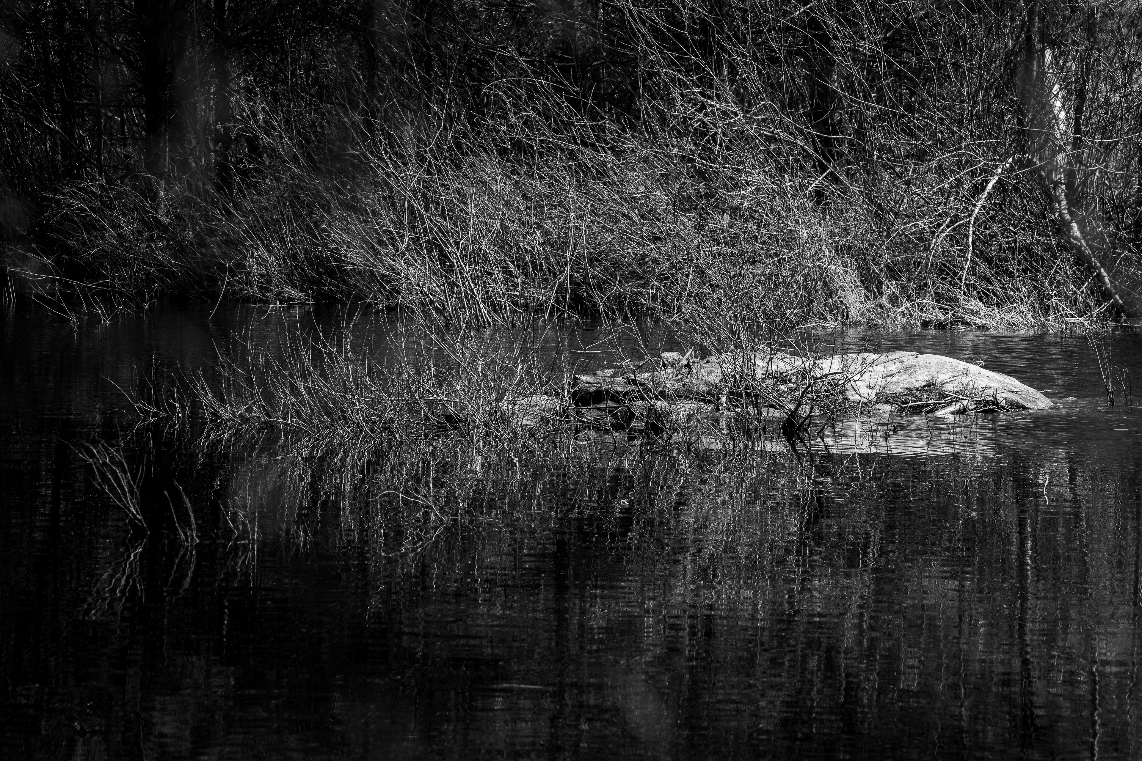Boulder in Factory Pond at CSV No2