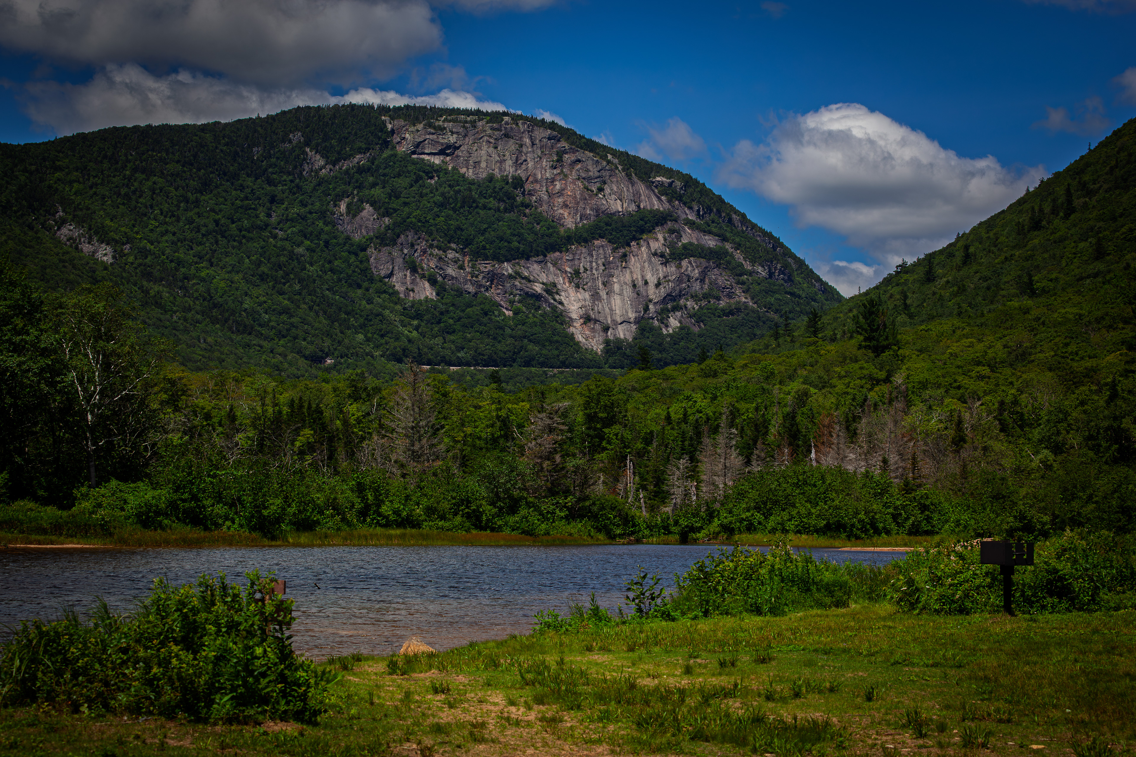 Mount Willard from Willey Pond No14