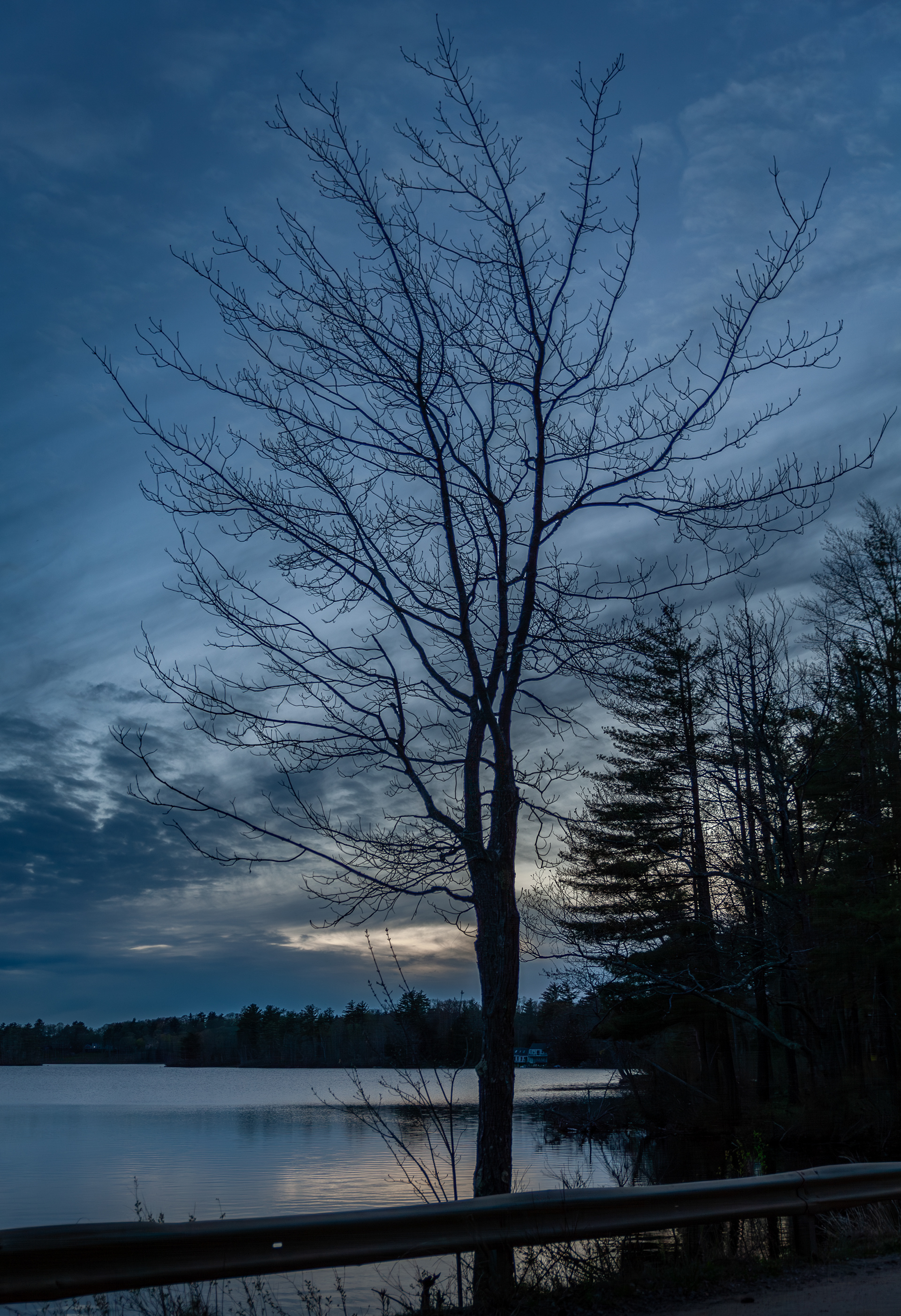 Shellcamp Pond - May 9, 2024