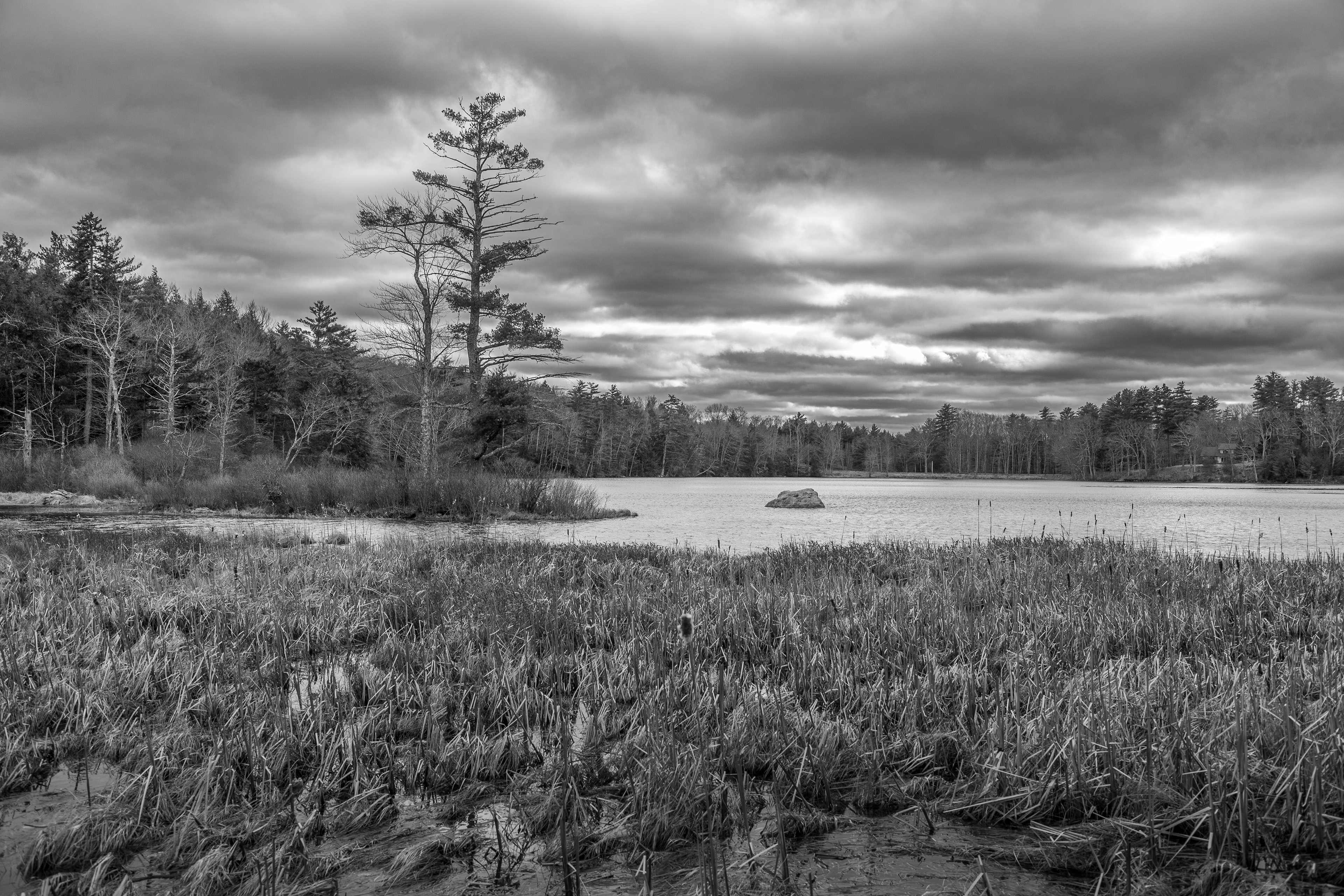 Rollins Pond No3