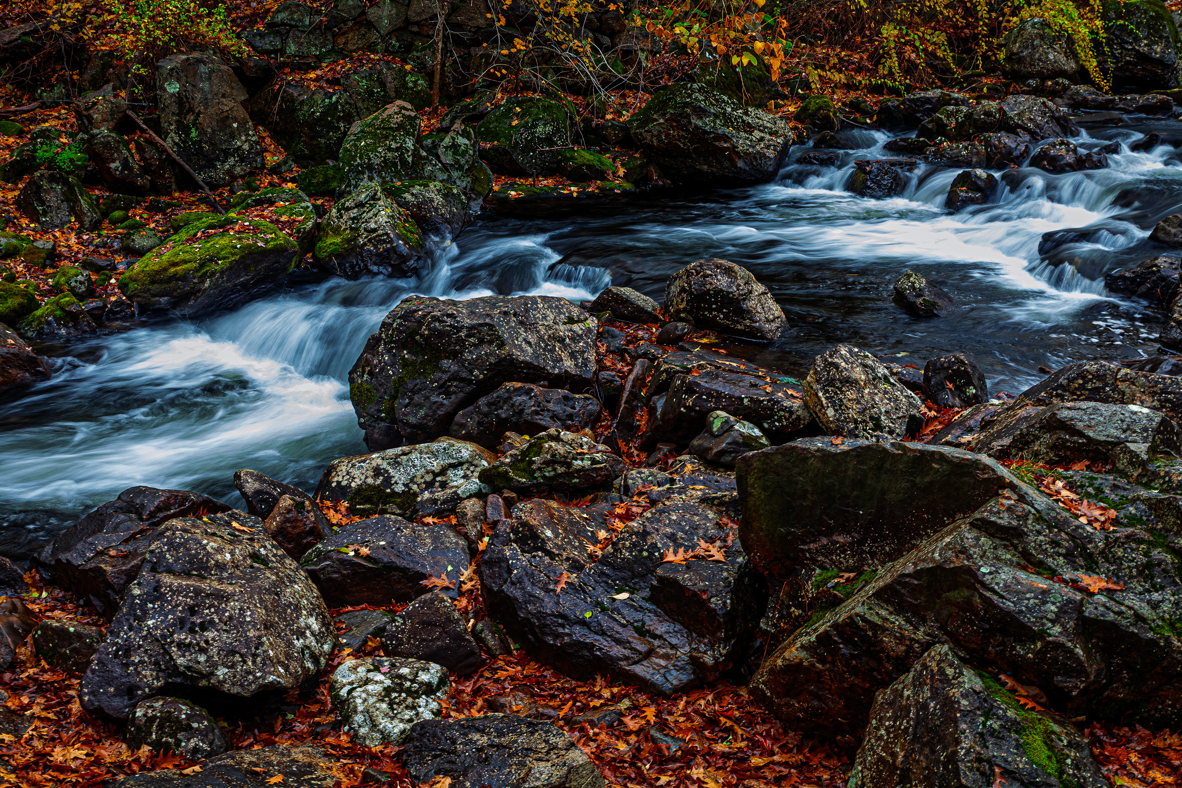 Bristol Falls Park No4