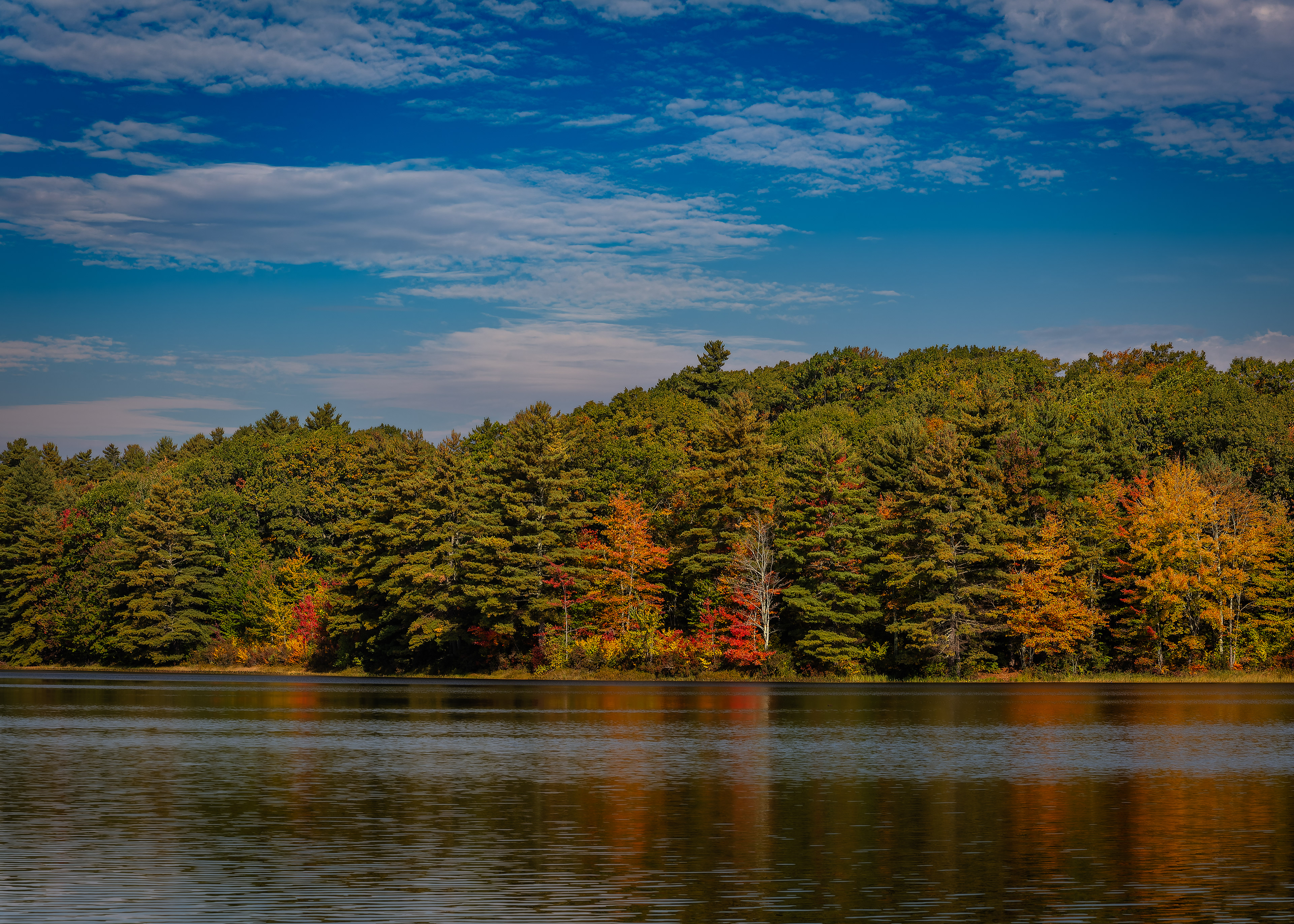 Meetinghouse Pond No8