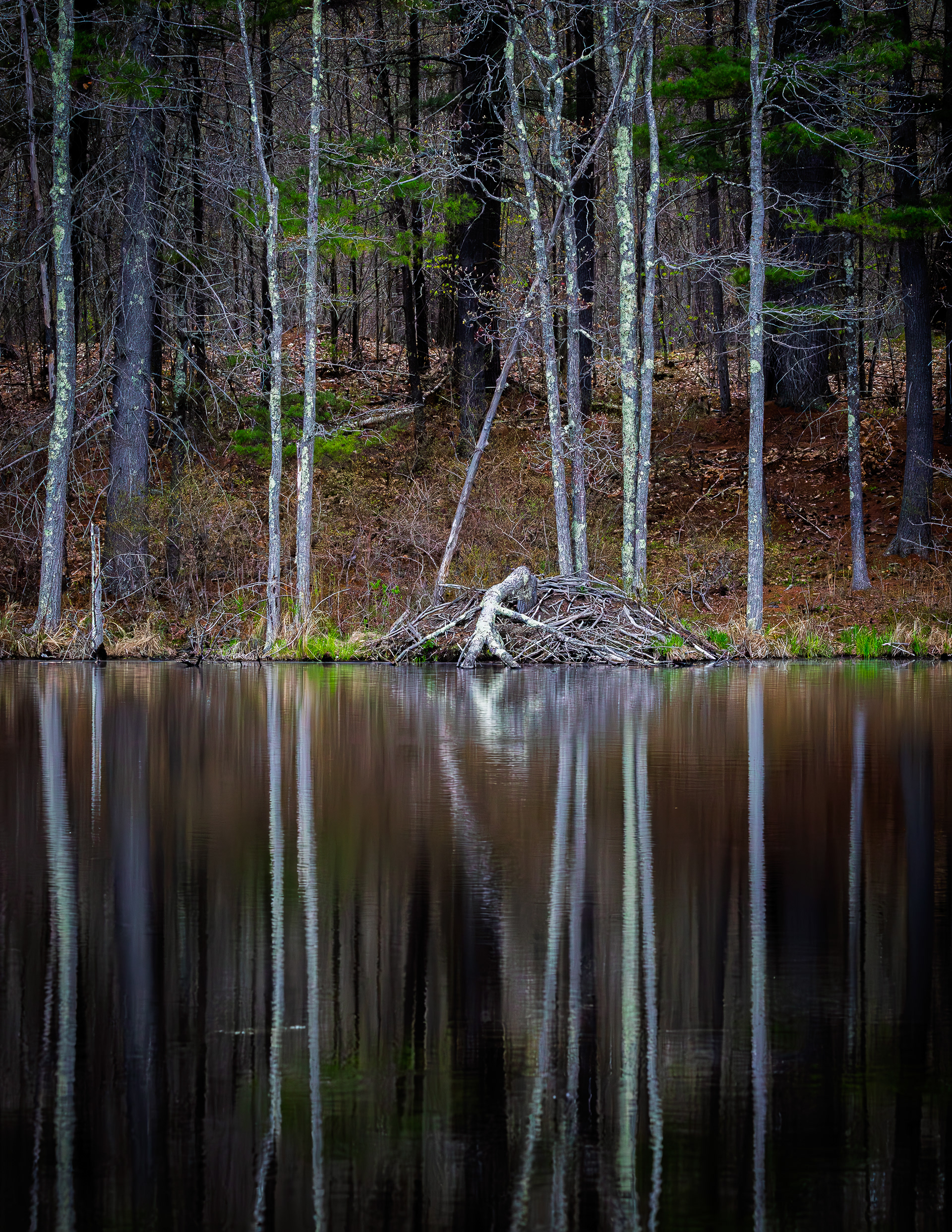 Reflections in Color