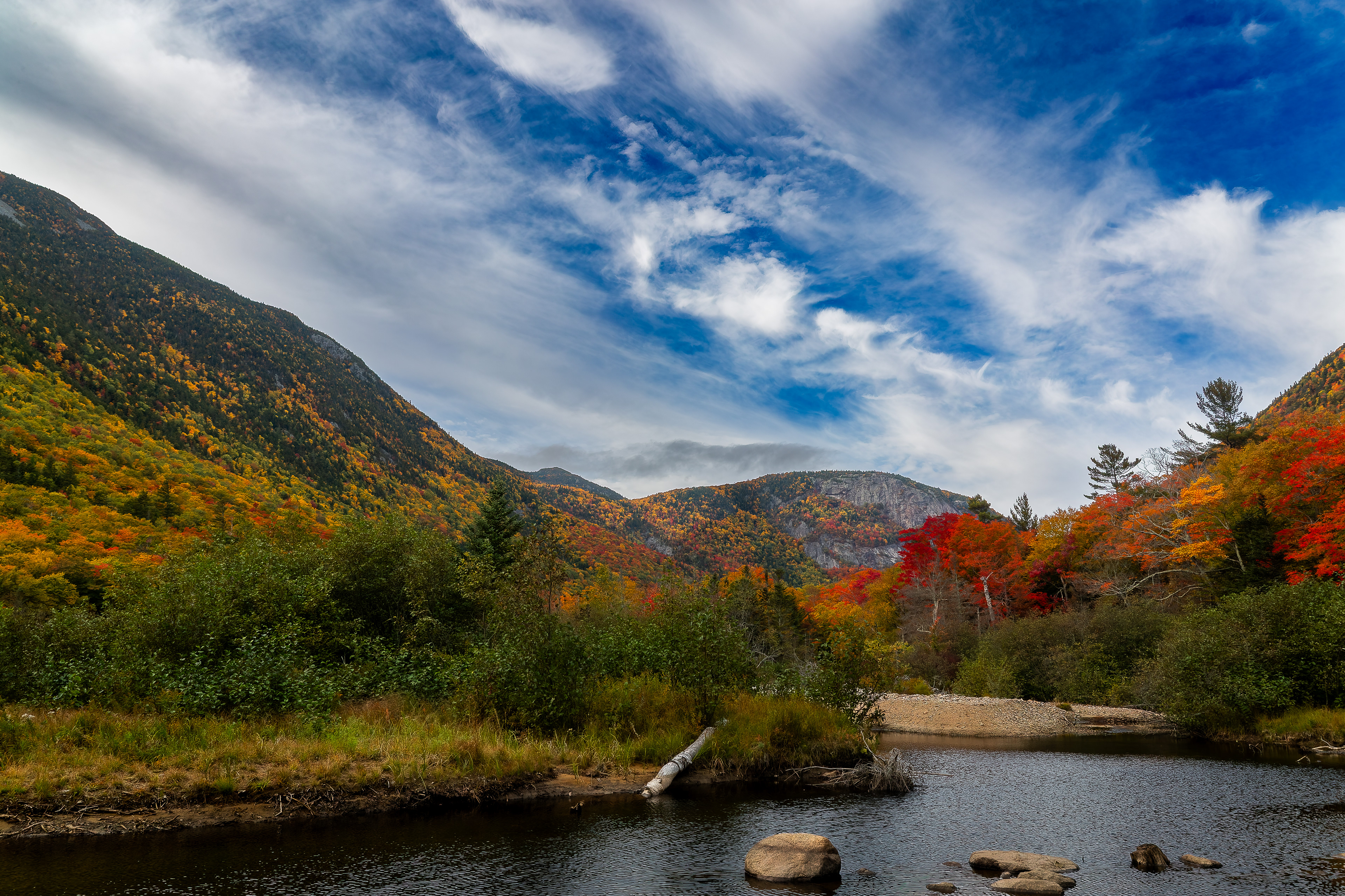 Willey Pond Views No19