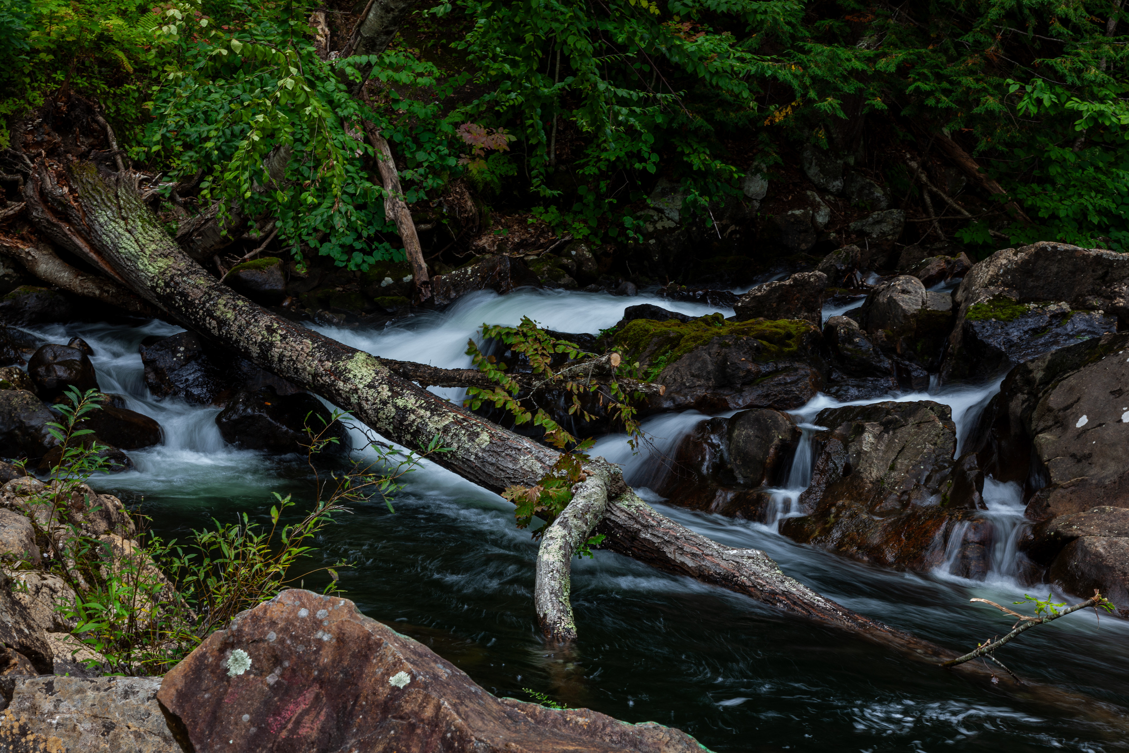 Bristol Falls Park No13