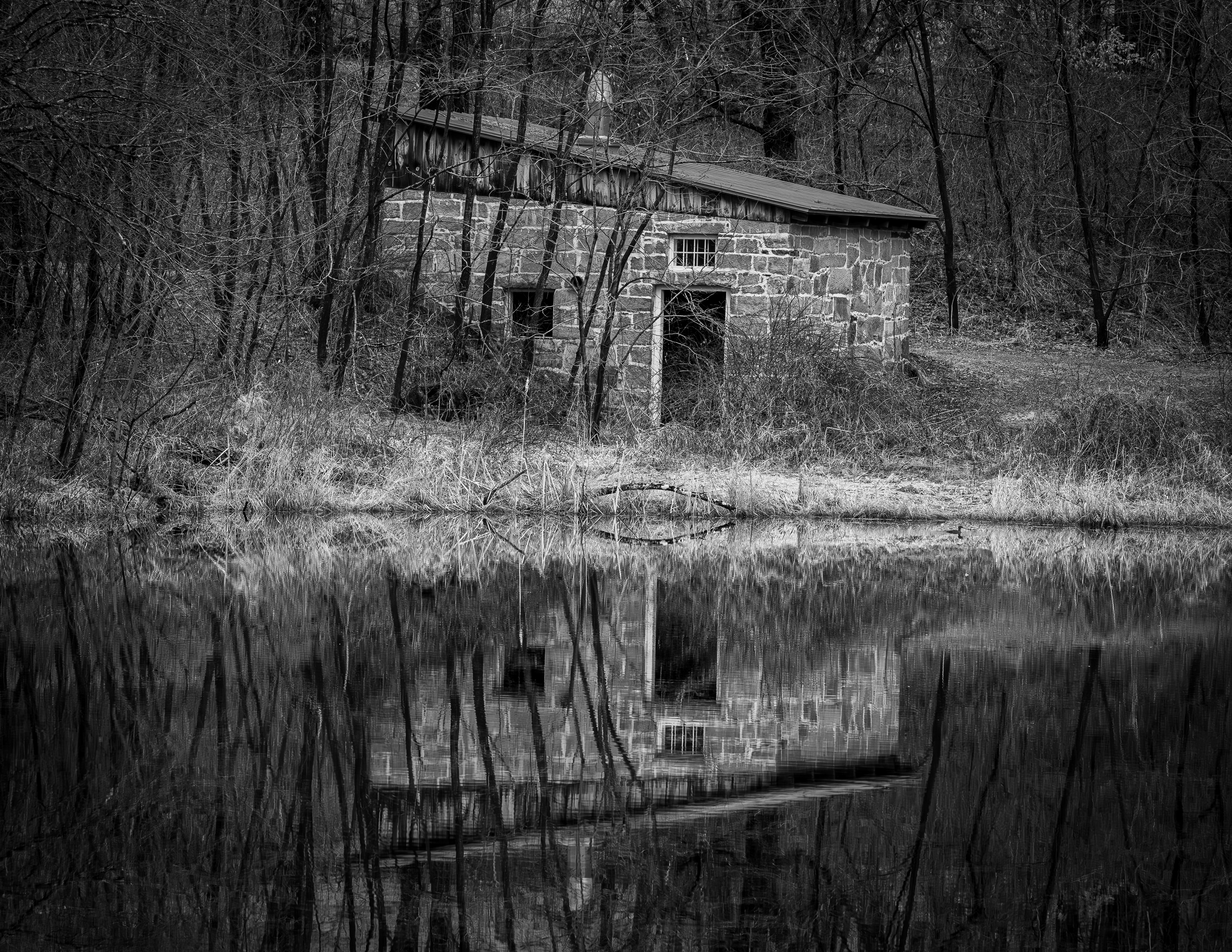 Reflections at Turning Mill Pond at CSV