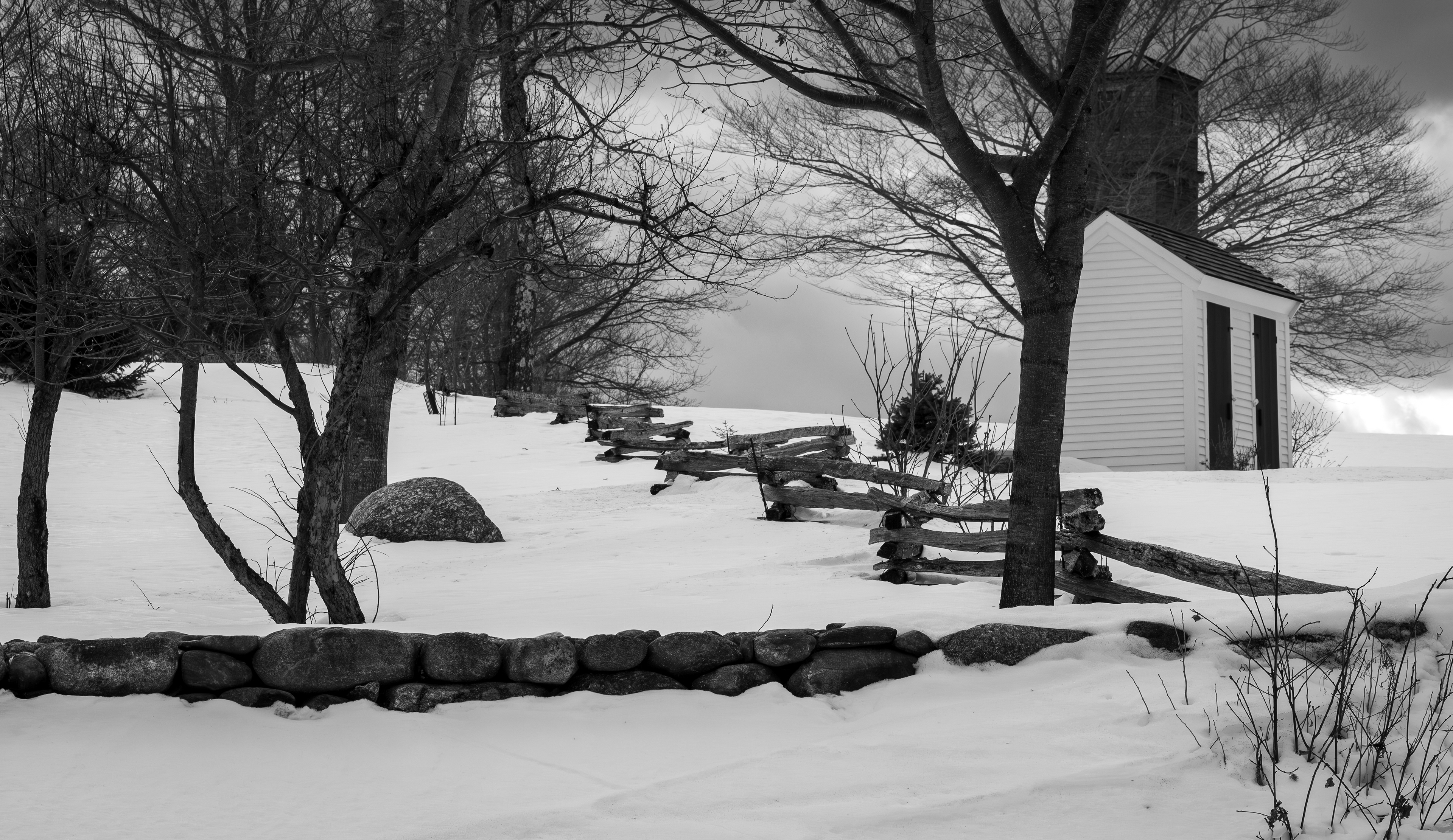 Frisky Hill - February 26, 2025