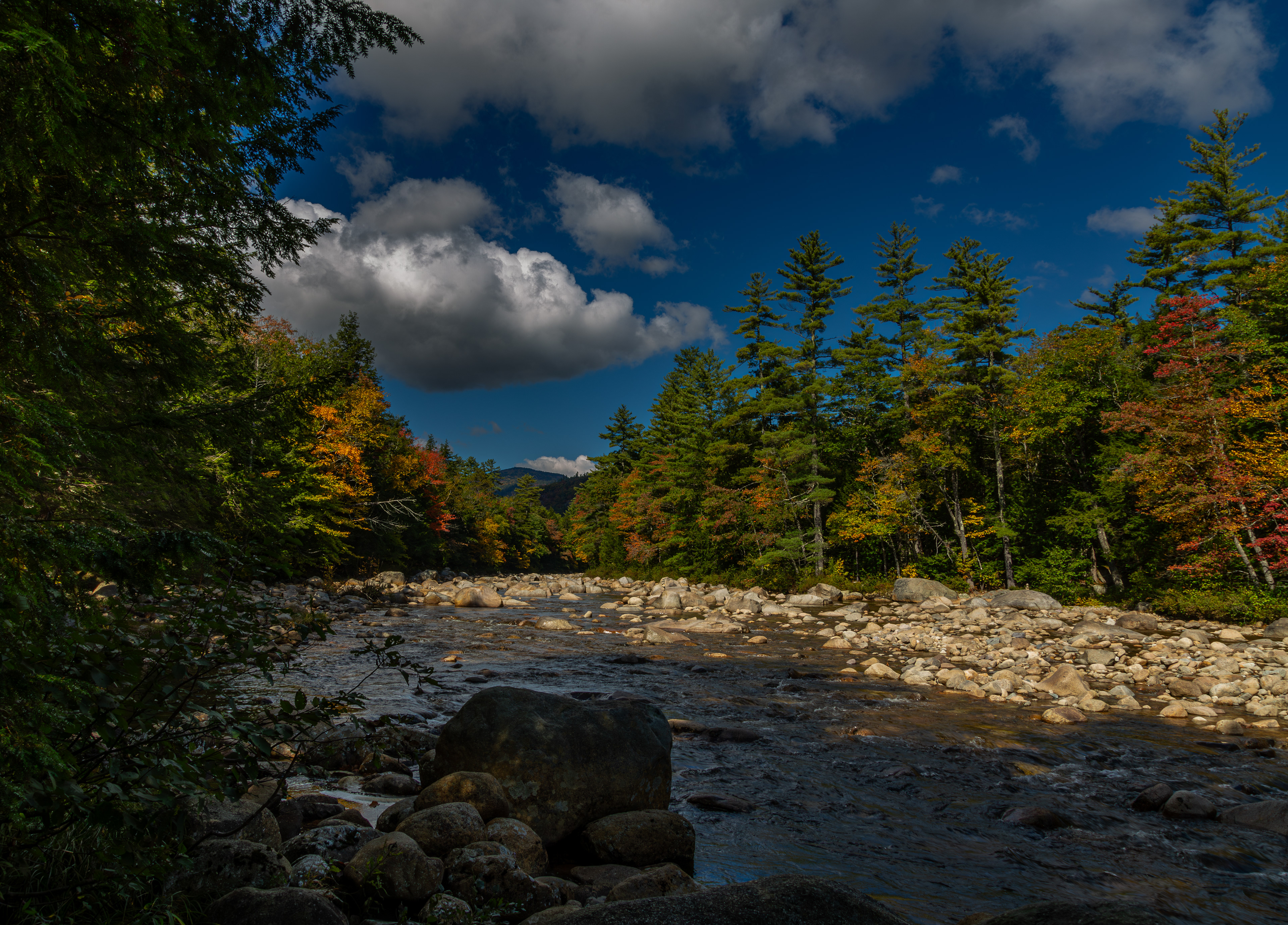 Swift River No1