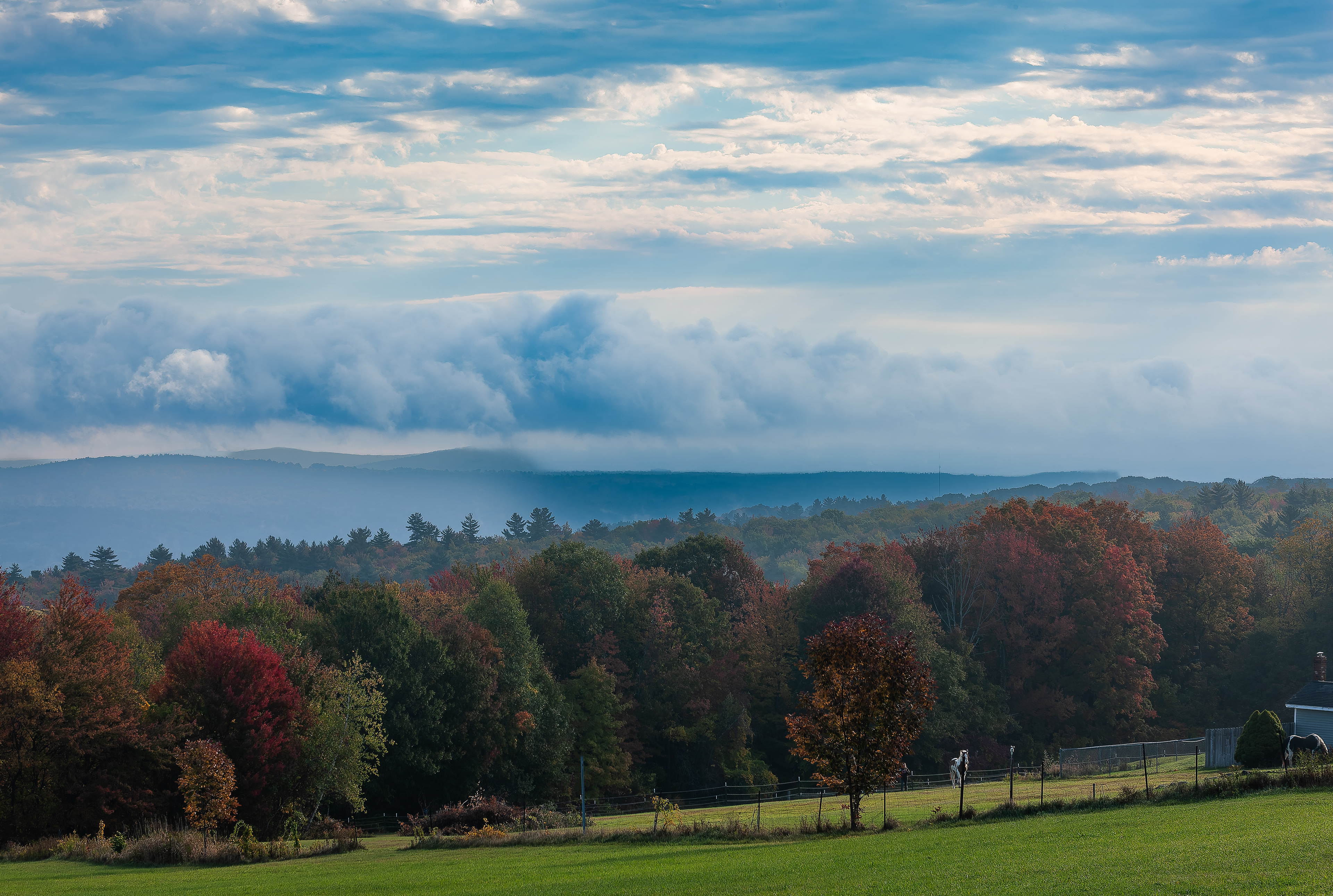 Galloping Horse from Frisky Hill Scenic Overlook - October 8, 2026