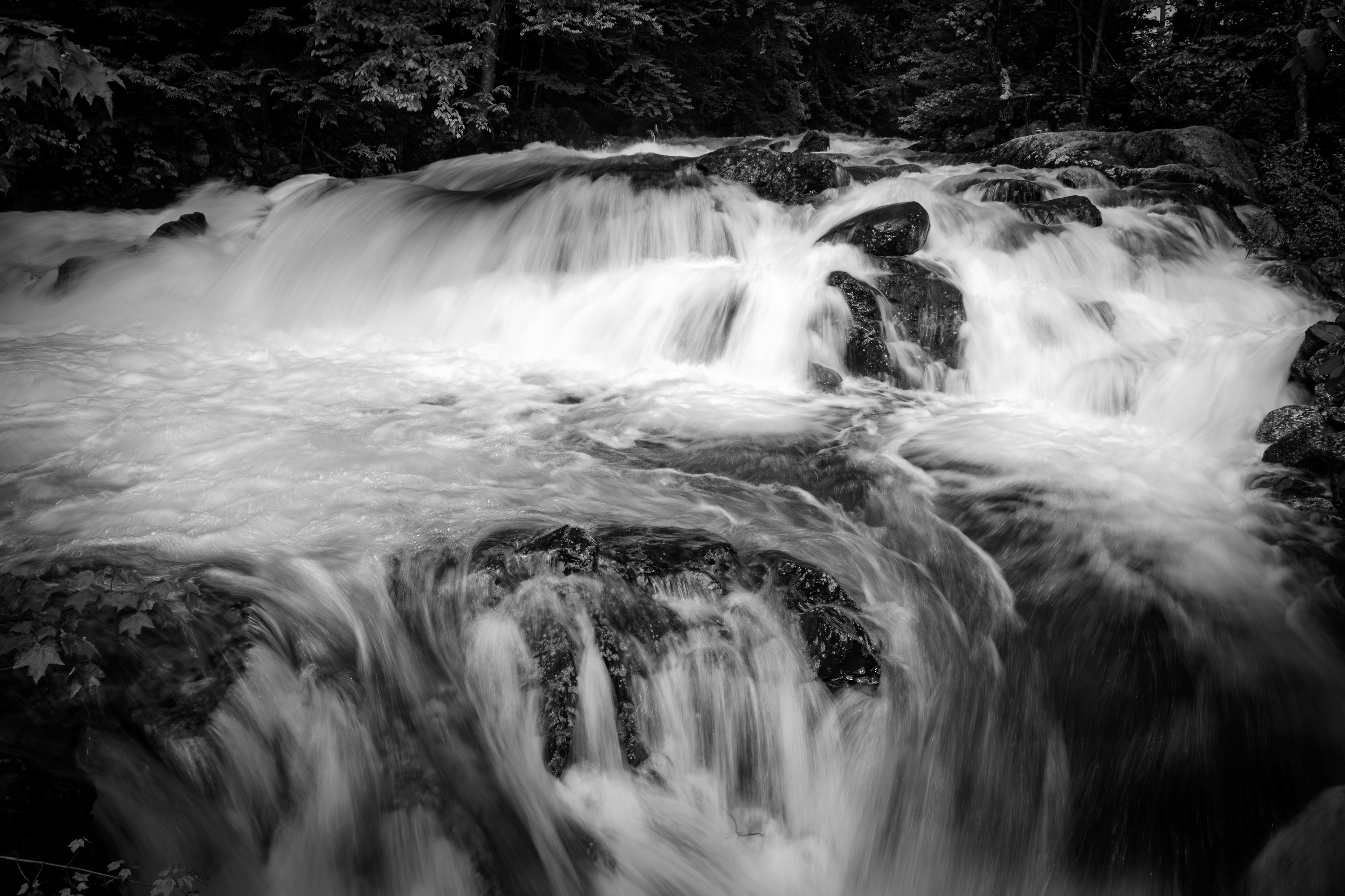 Bristol Falls Park No29