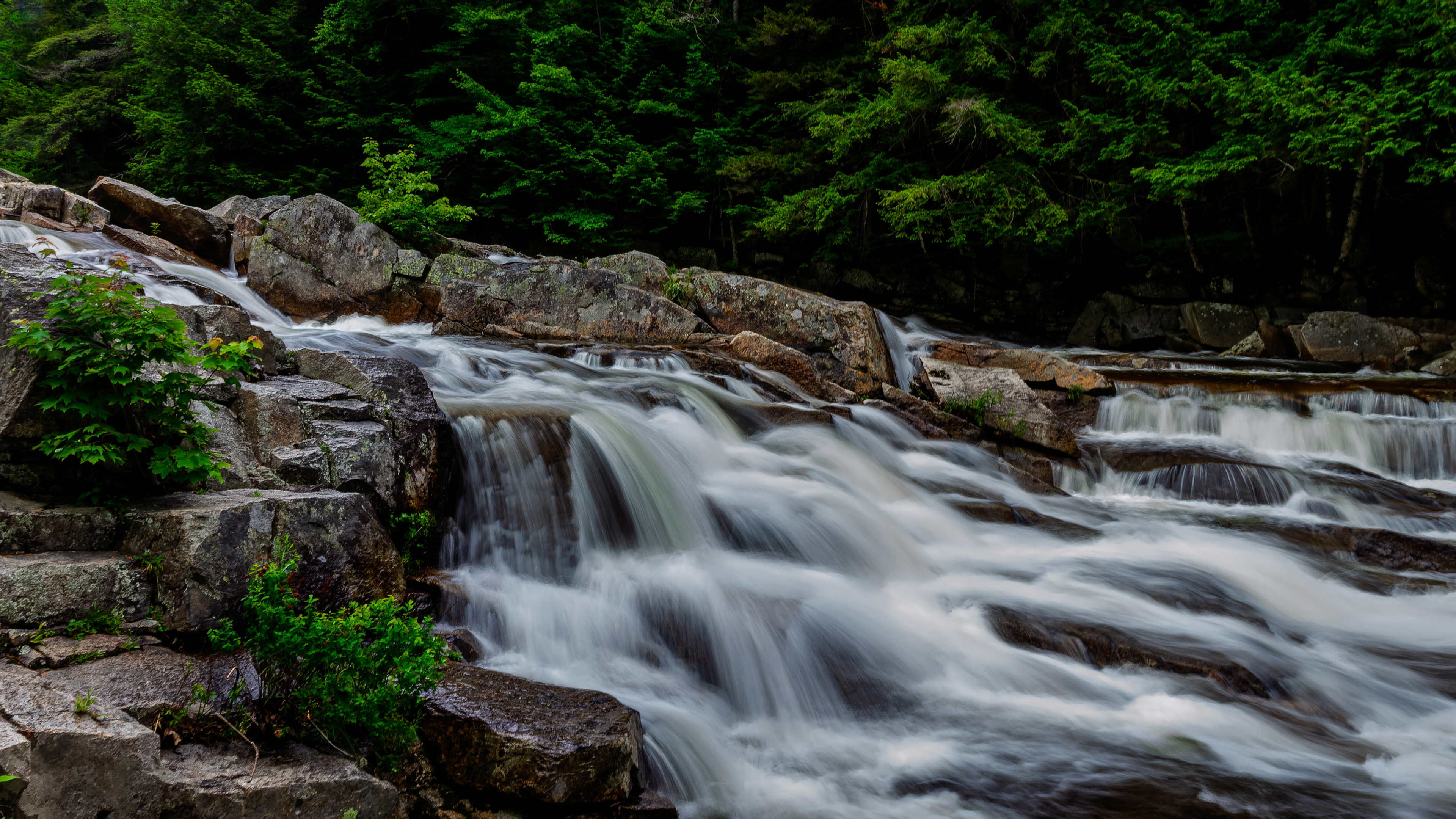 Jackson Falls No26