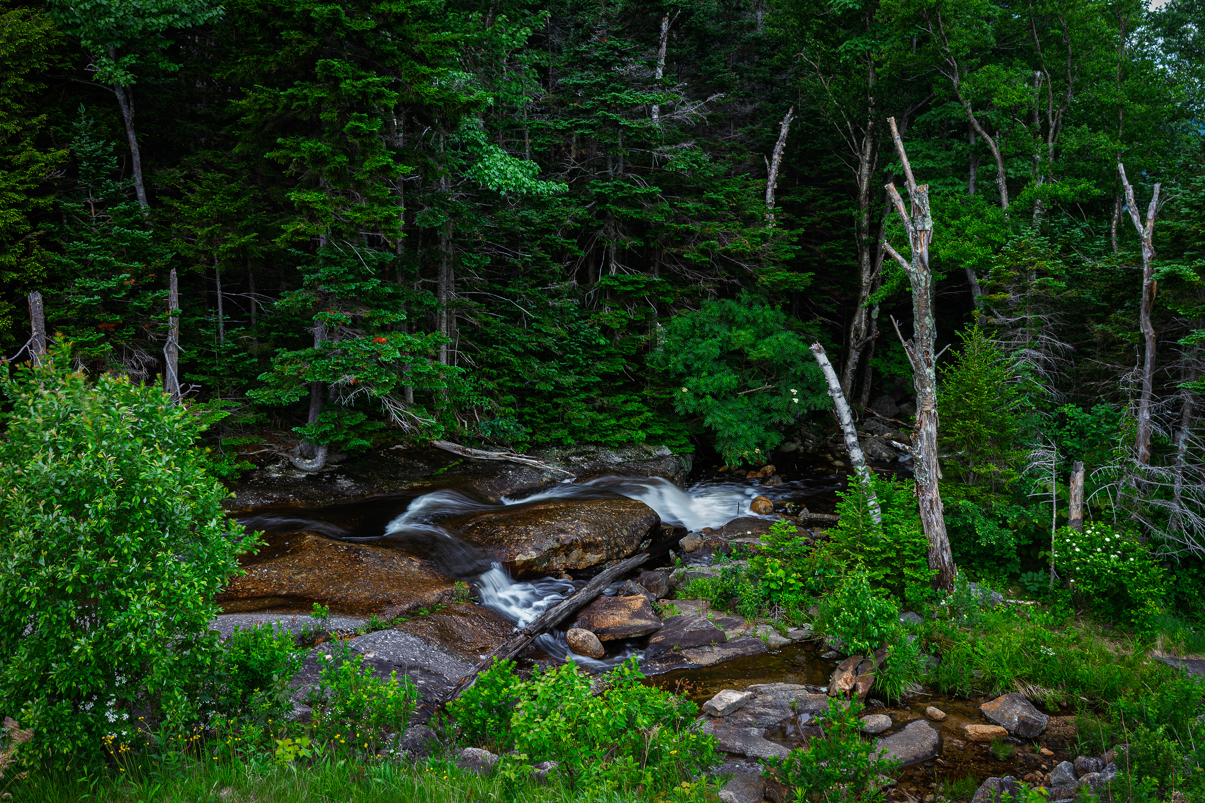 Falls at Beaver Pond Dam