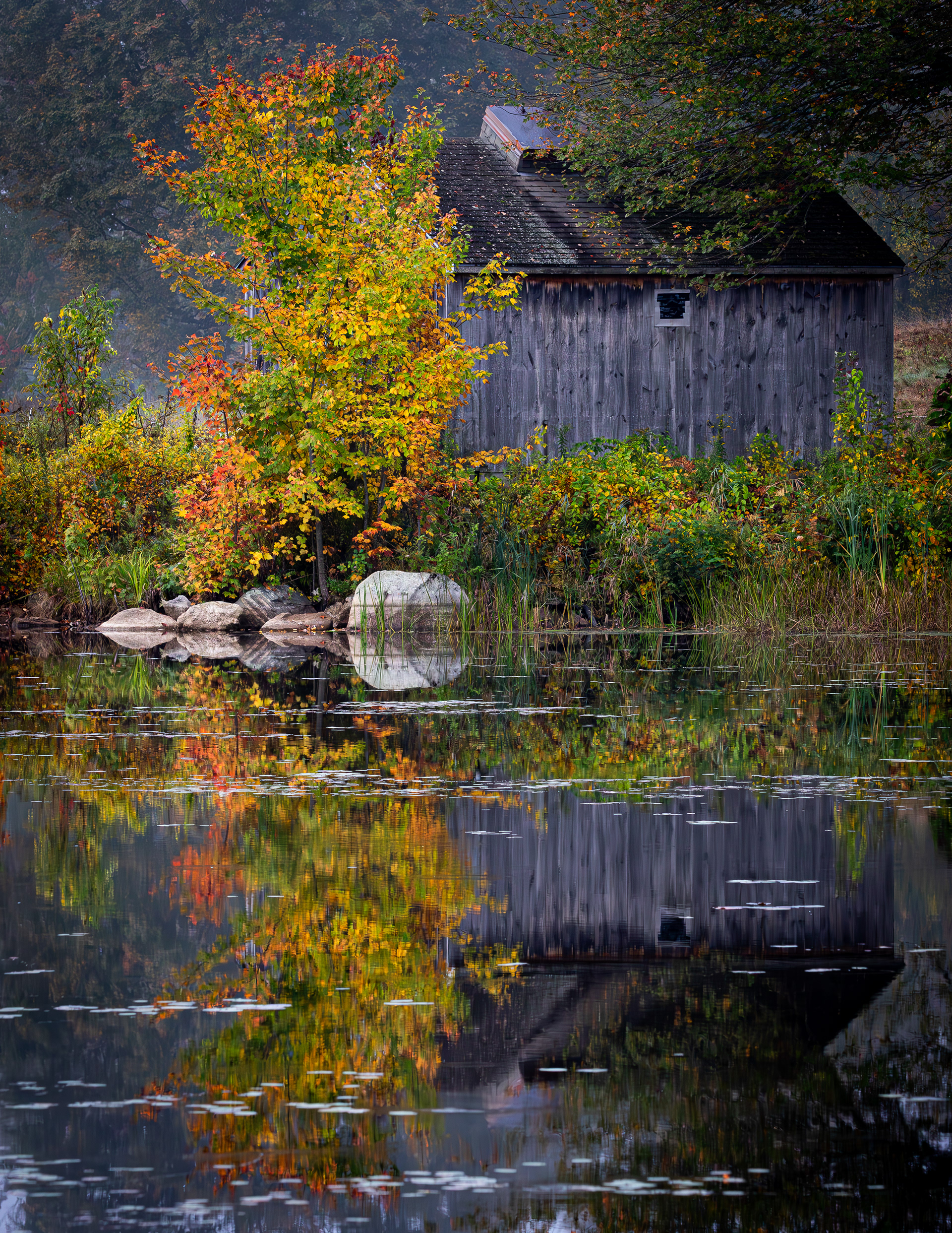 Turning Mill Pond No2