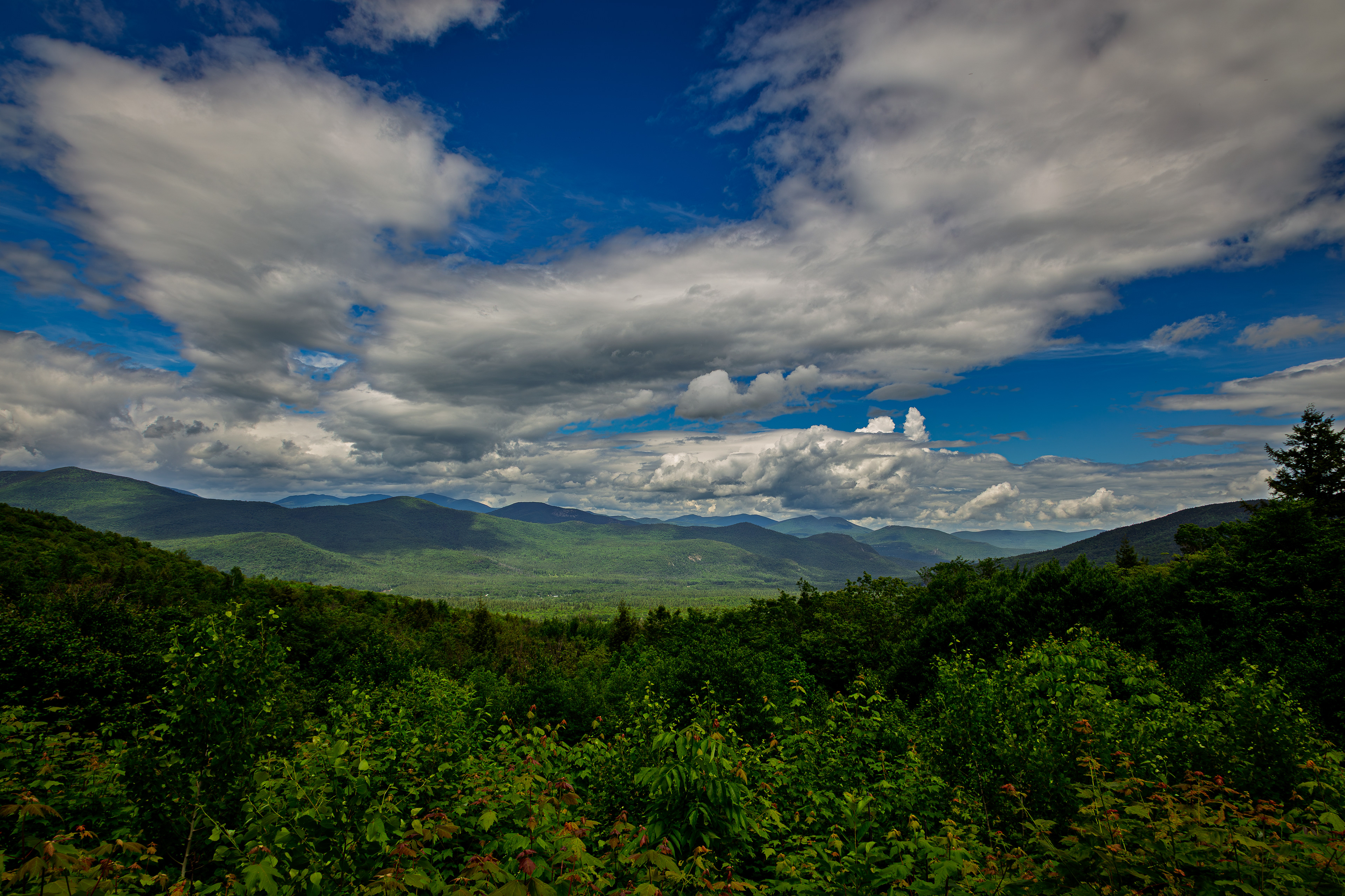 Bear Notch Scenic Vista No12