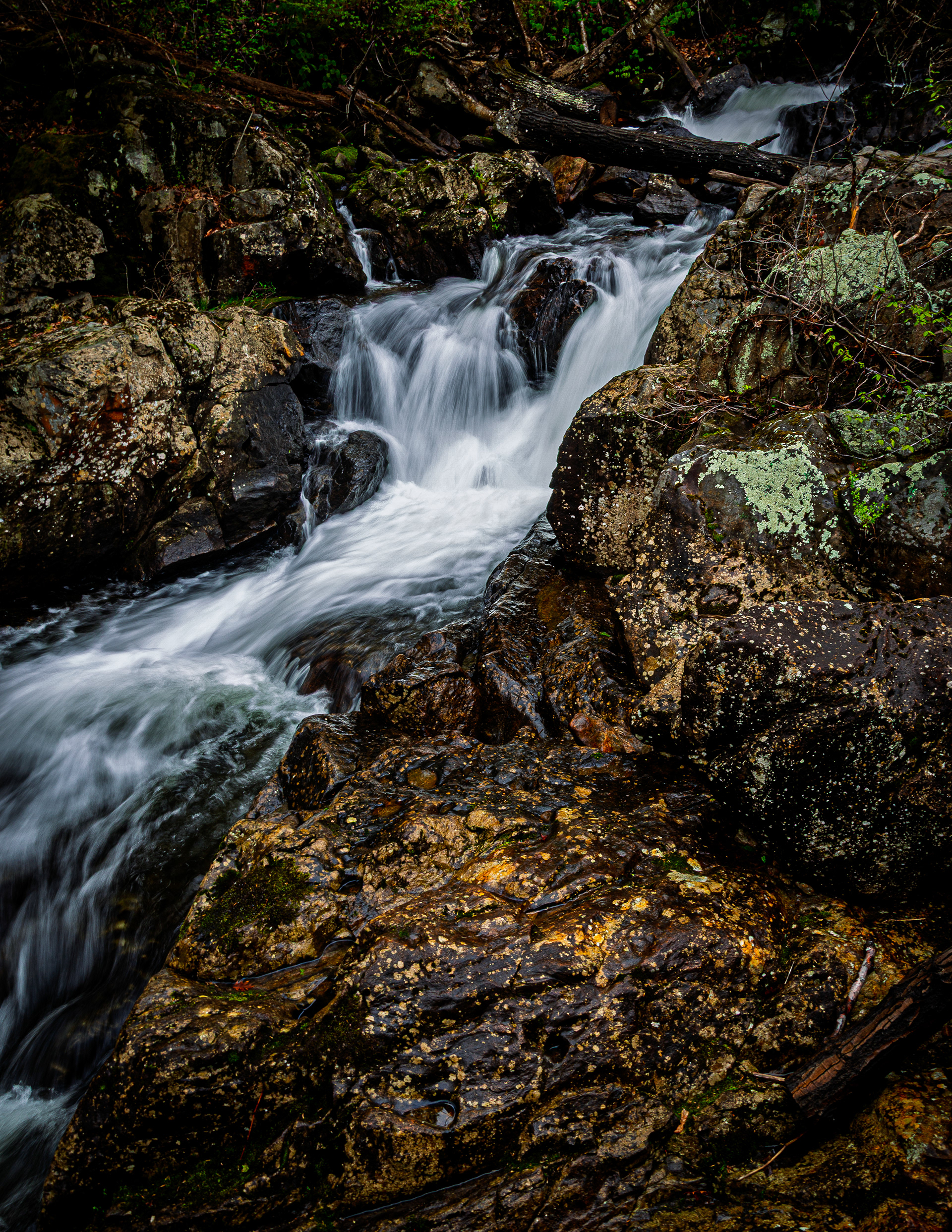 Bristol Falls Park No10